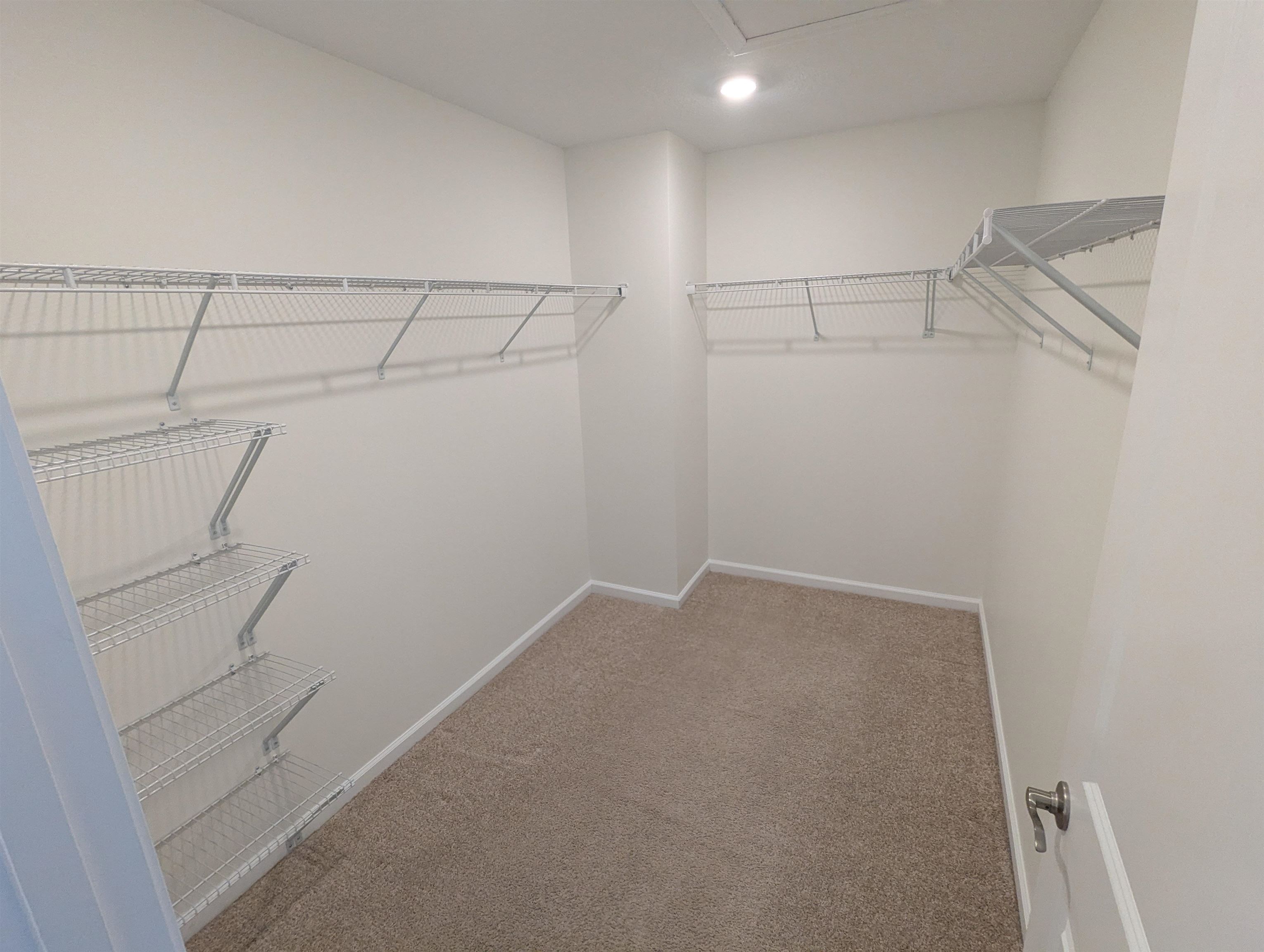 Spacious closet with light carpet