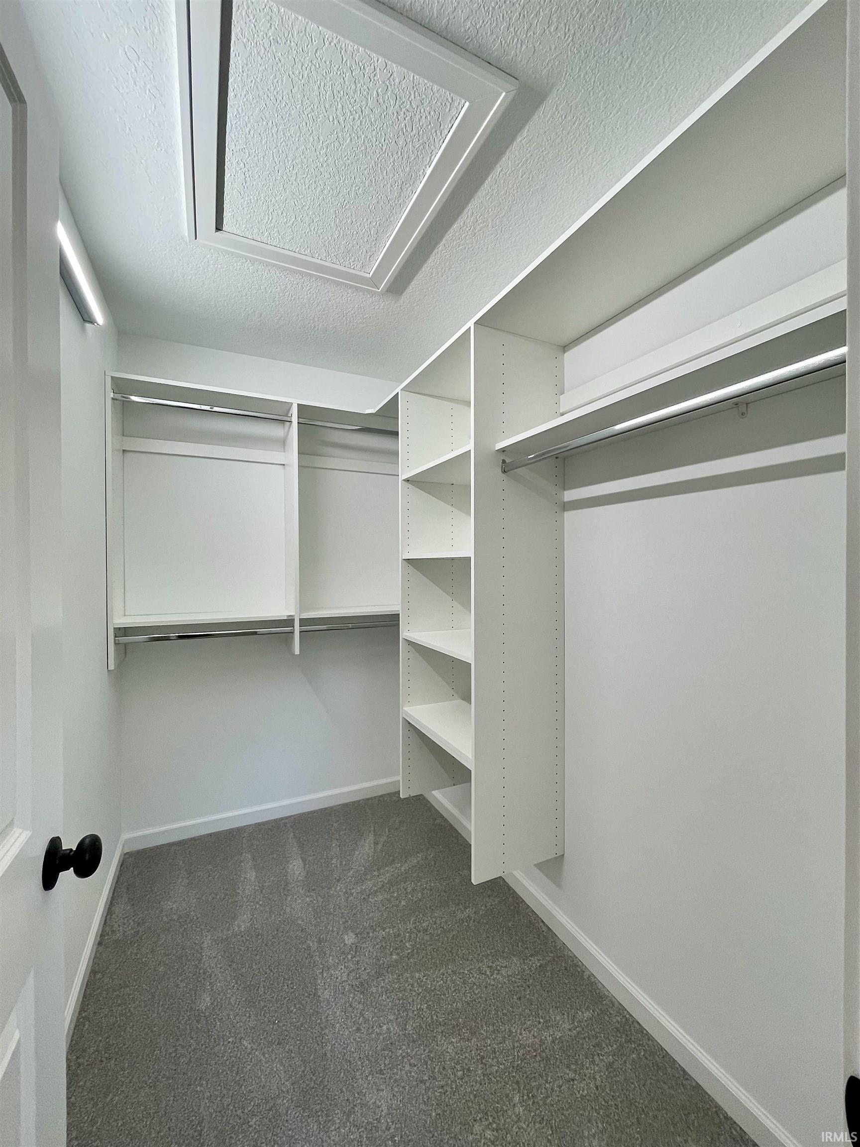 Walk in closet with dark colored carpet