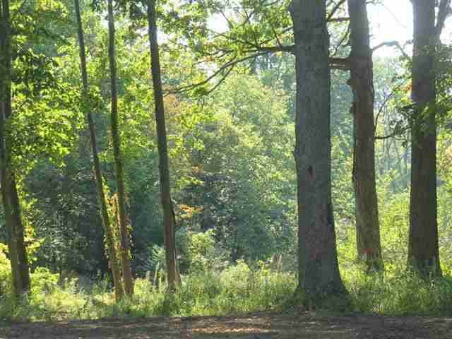 Photo 2 of 2271 Highlander Drive