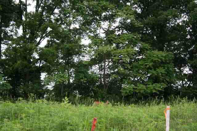 Photo 6 of 2271 Highlander Drive