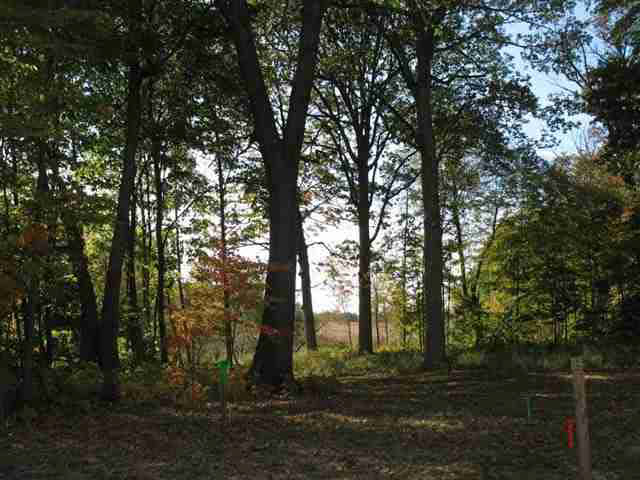 Photo 7 of 2271 Highlander Drive