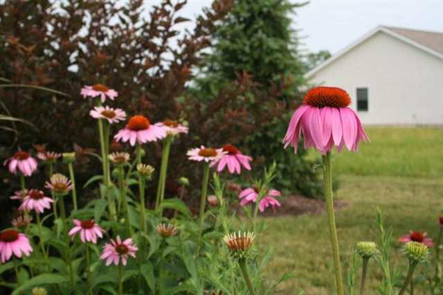 Photo 4 of 2265 Highlander Drive
