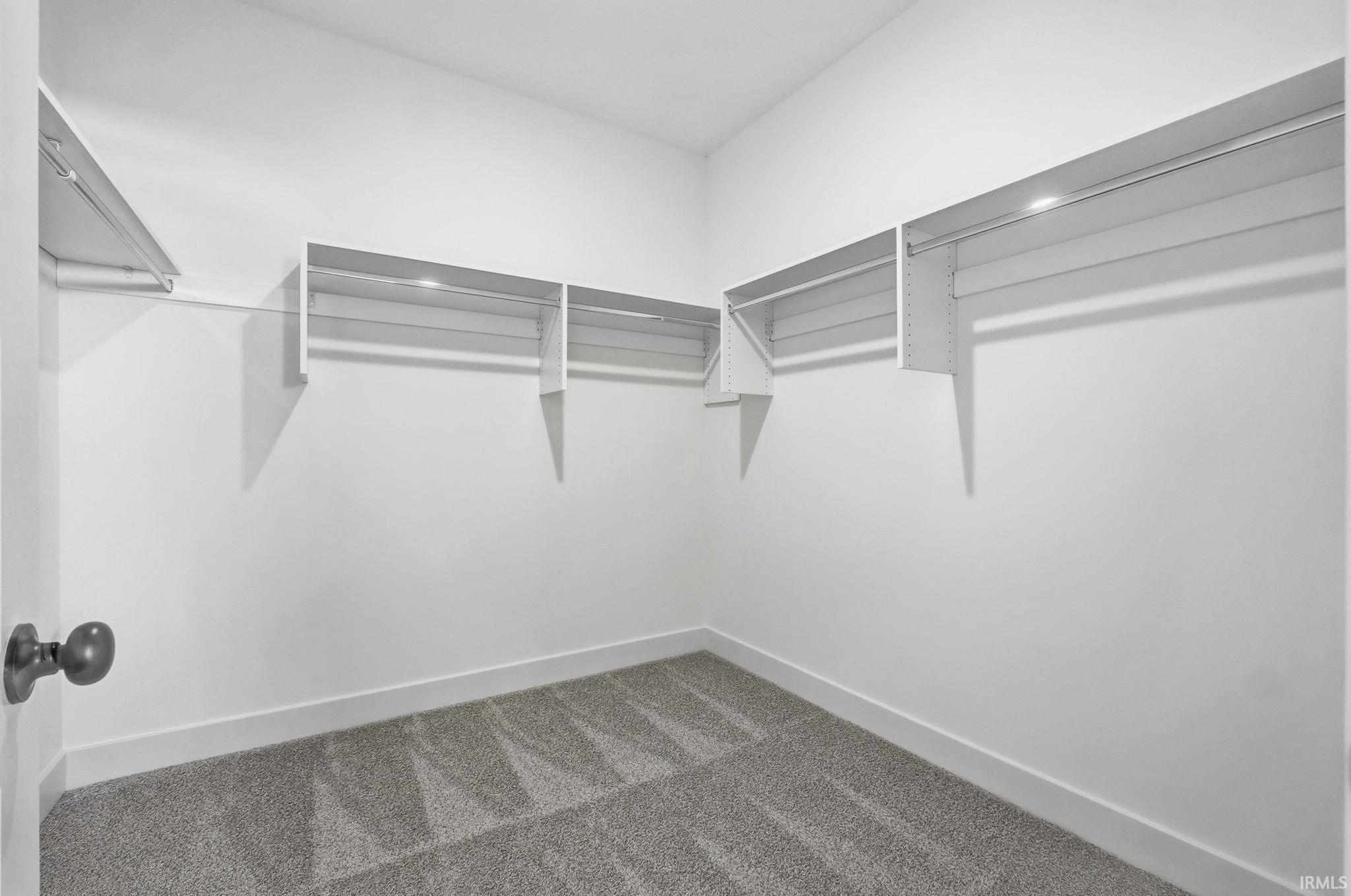 Walk in closet featuring carpet flooring
