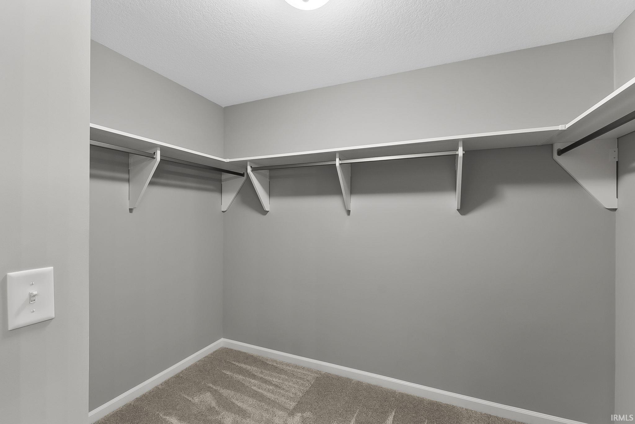 Walk in closet with light colored carpet