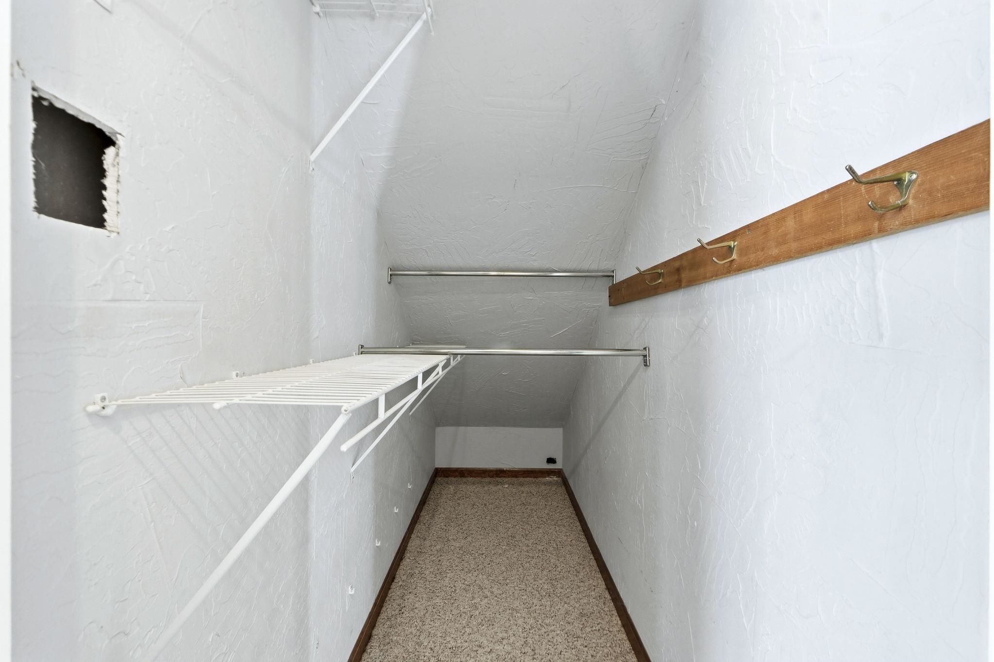 Walk in closet featuring light colored carpet on main level