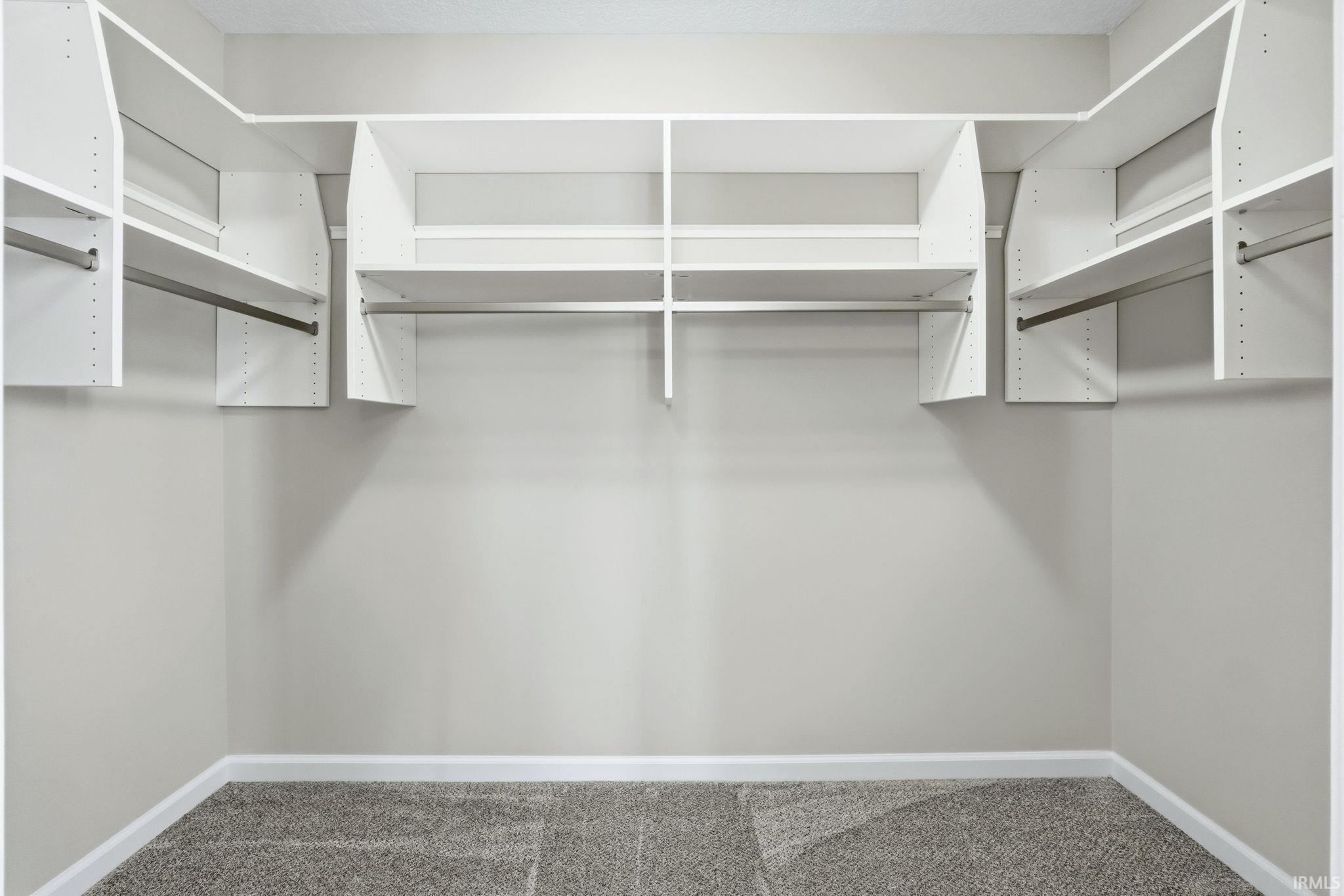 Walk in closet featuring carpet