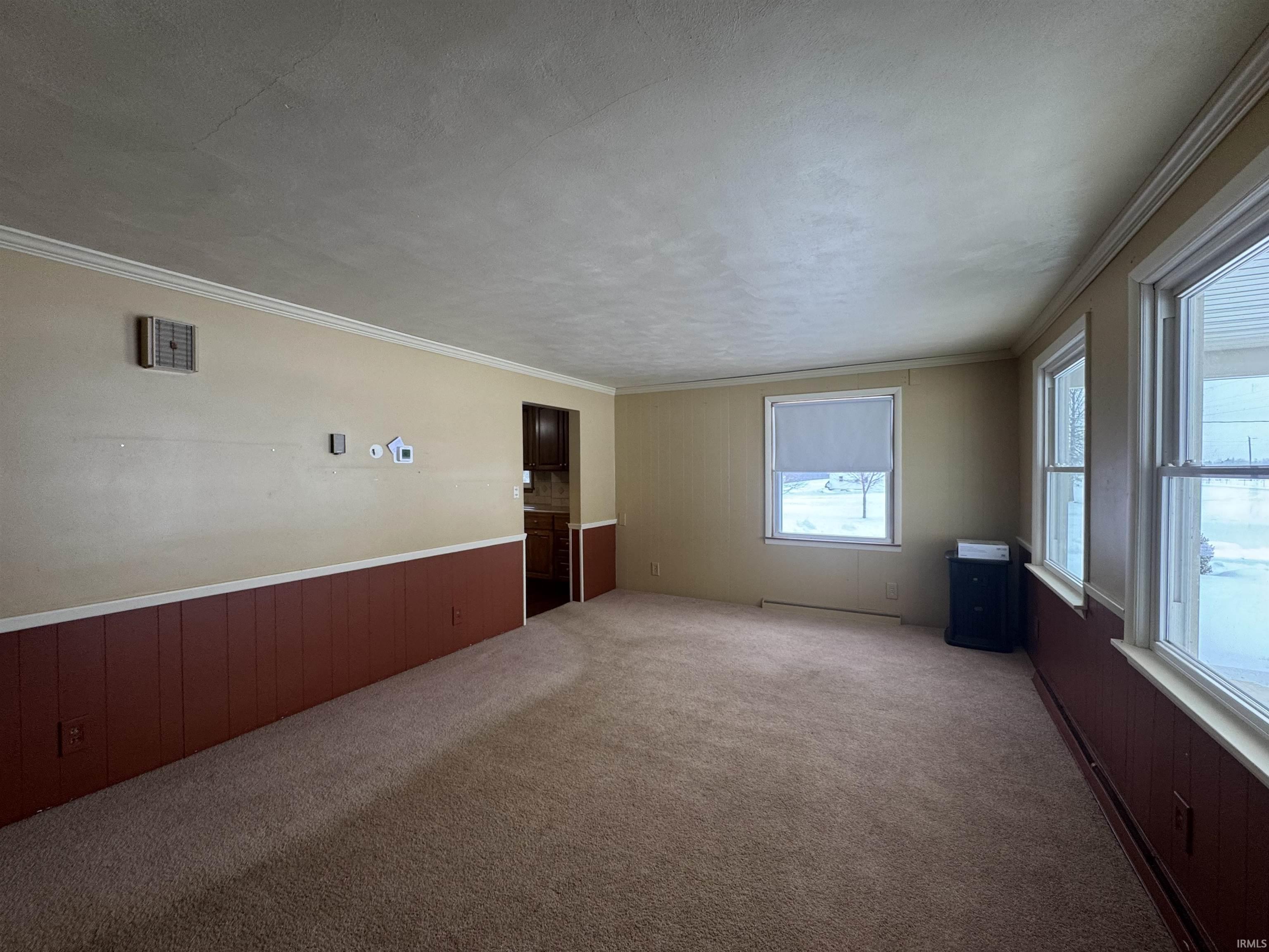 Carpeted empty room featuring wooden walls, wainscoting, and crown molding