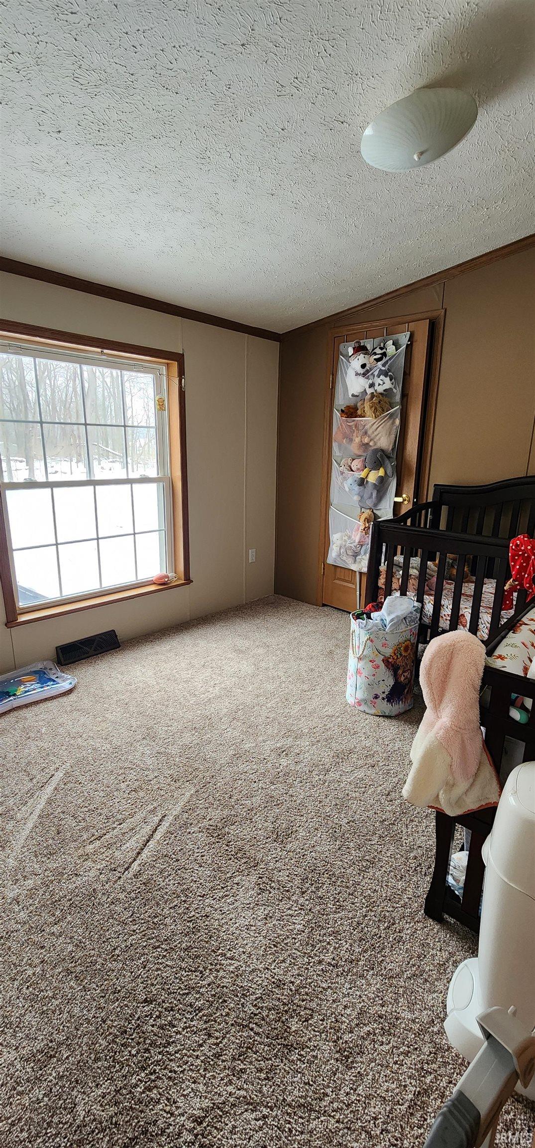 carpet flooring and a textured ceiling