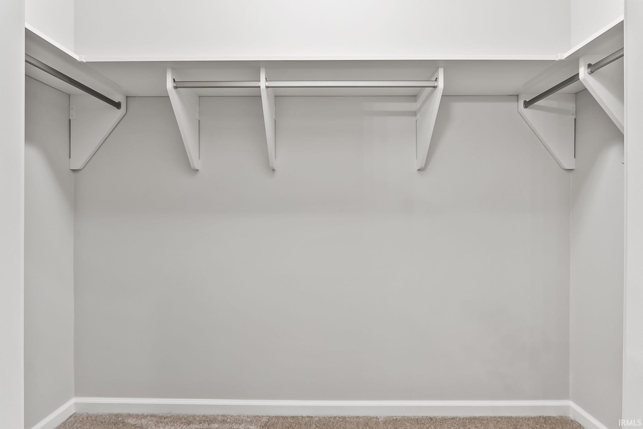 Walk in closet featuring carpet