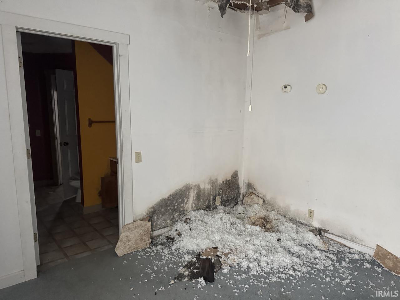 Picture showing damage in Bedroom Two