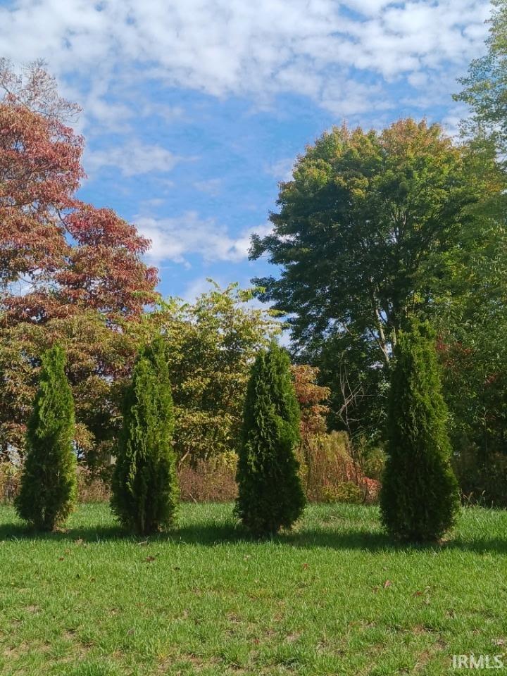Summer Picture