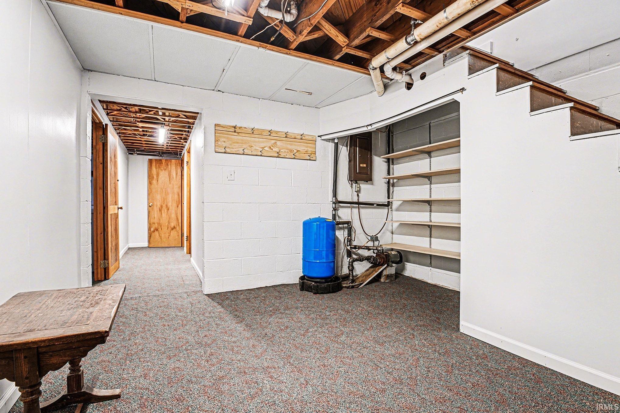Below grade area featuring carpet, concrete block wall, and a water pressure tank