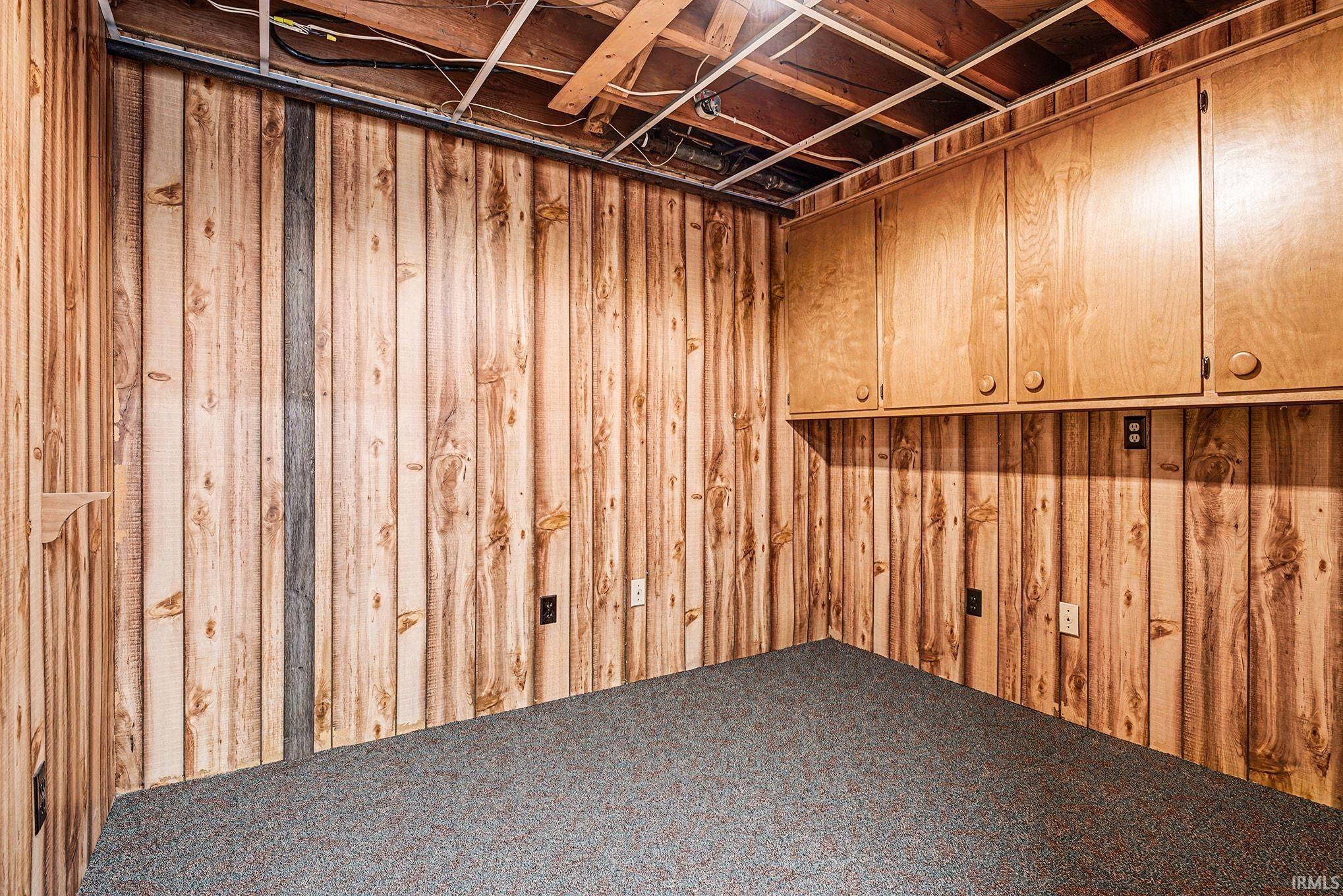 Below grade area featuring wooden walls and carpet floors