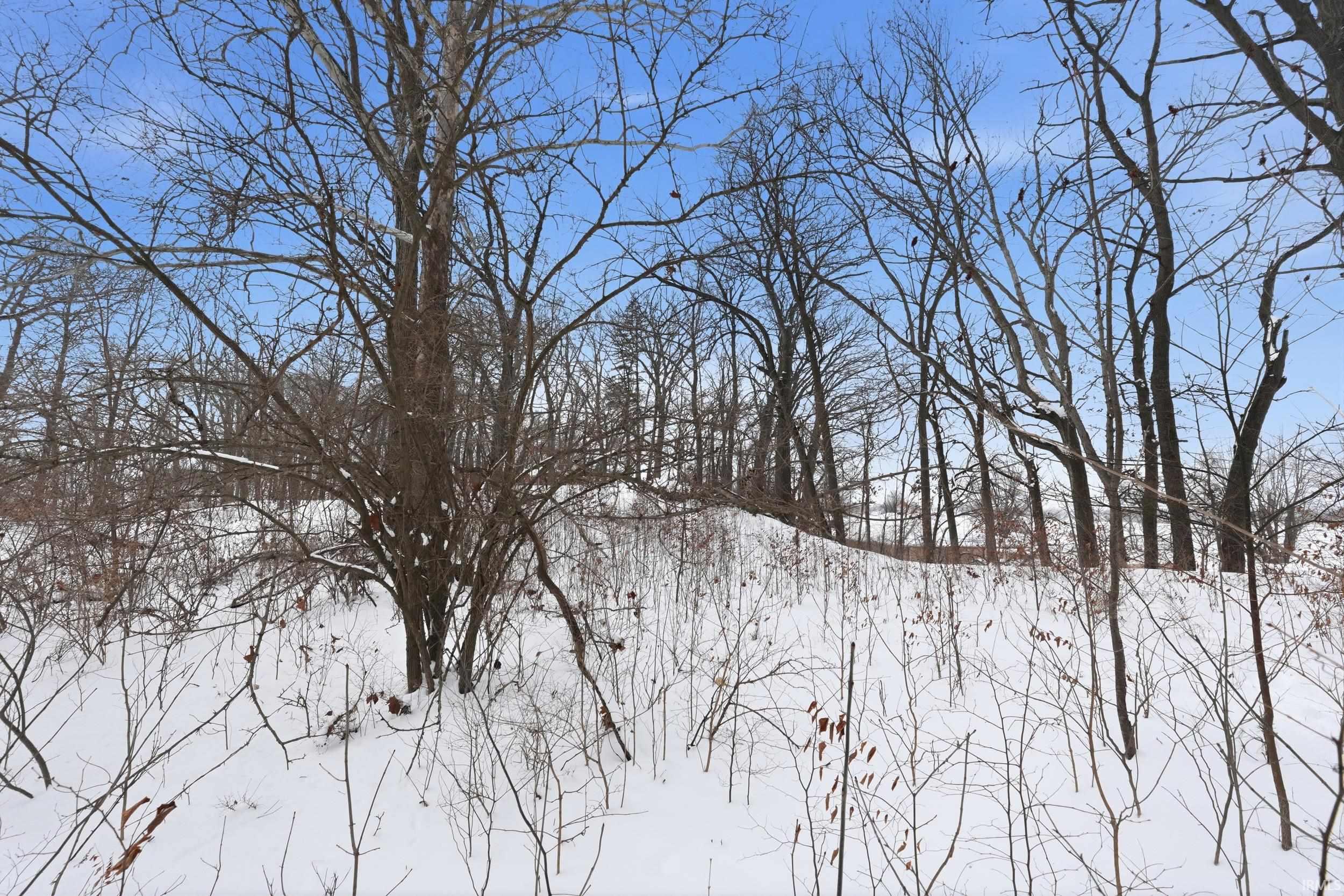 Photo 5 of 000 Ln 131c Turkey Lake