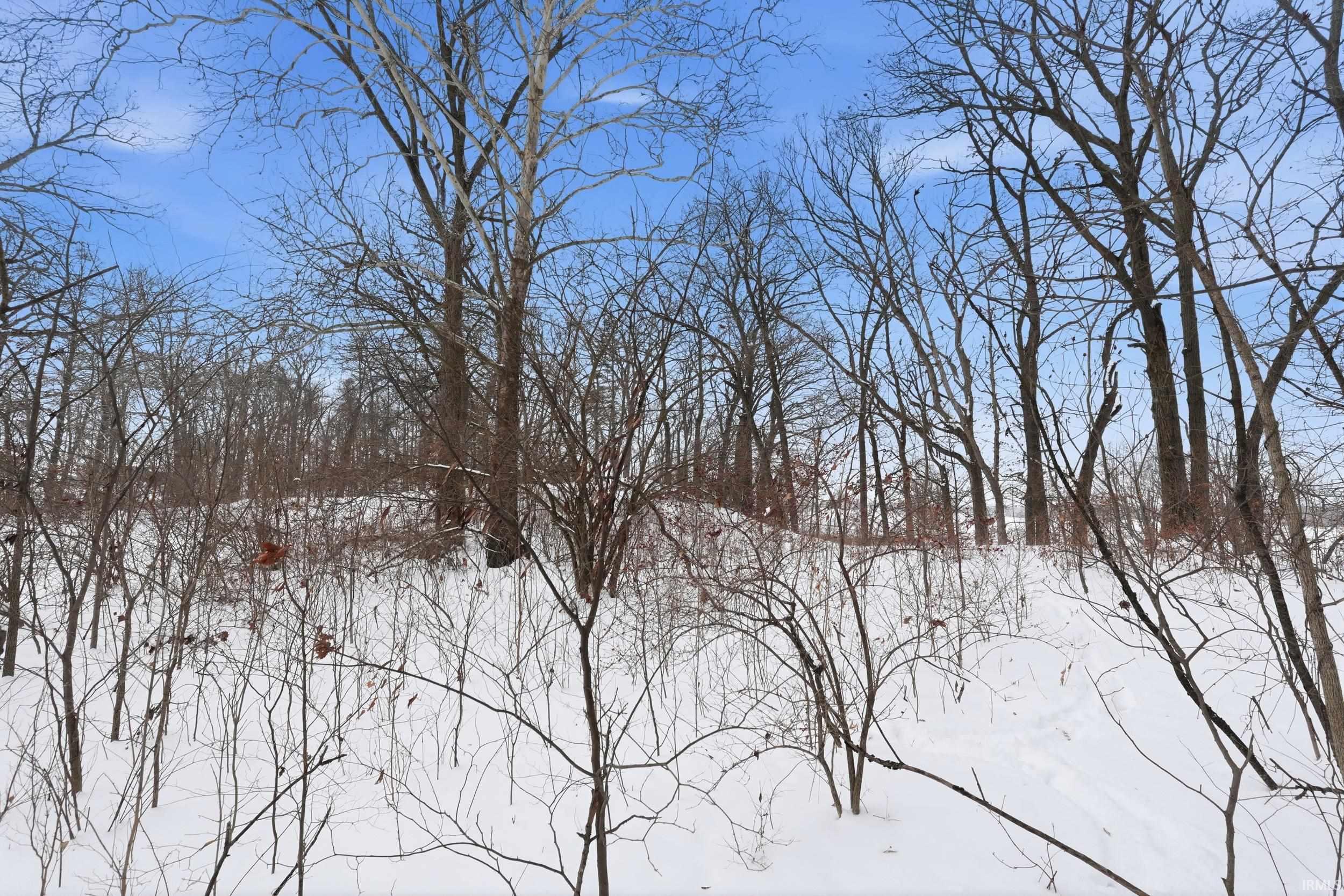 Photo 6 of 000 Ln 131c Turkey Lake