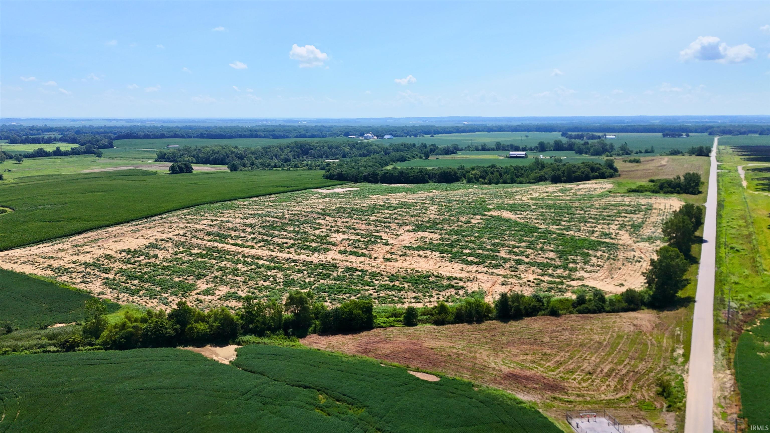 5th image of 42+/- Acres N Wampler Rd, Bicknell, IN 47512 | MLS# 202603810