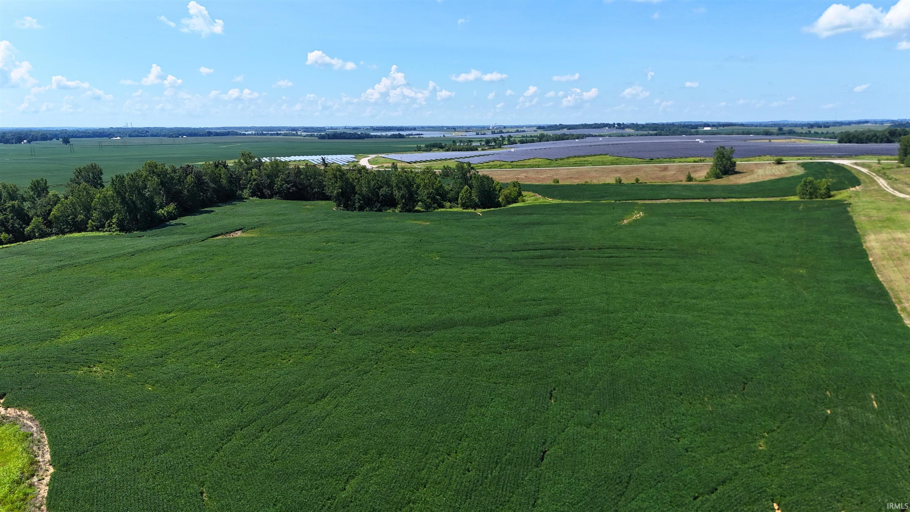 5th image of 50+/- Acres N Sycamore Rd, Bicknell, IN 47512 | MLS# 202603815
