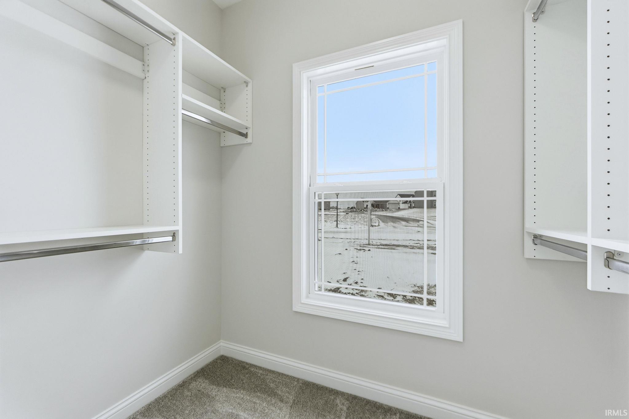 Walk in closet featuring light colored carpet