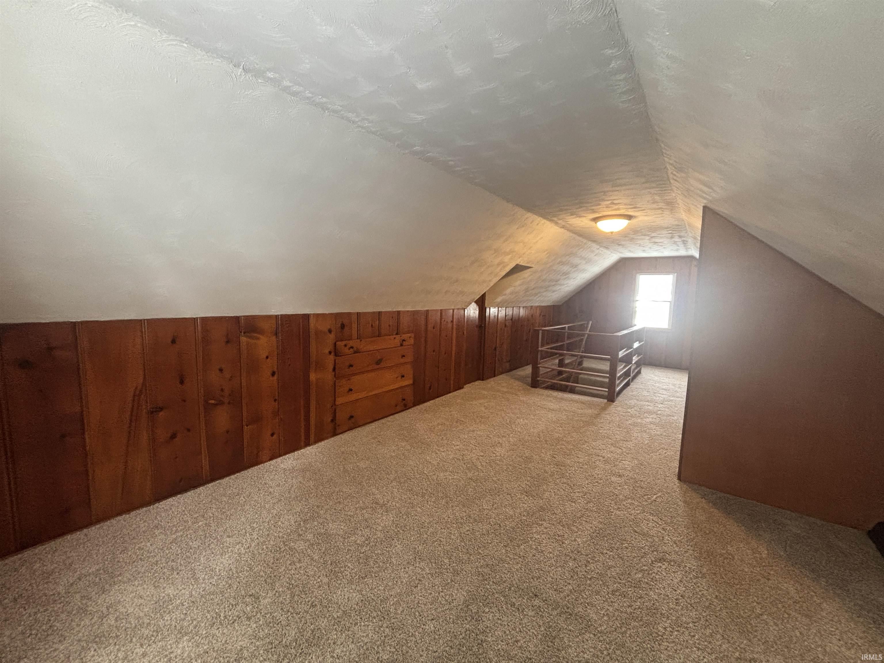 Additional living space featuring carpet and wood walls