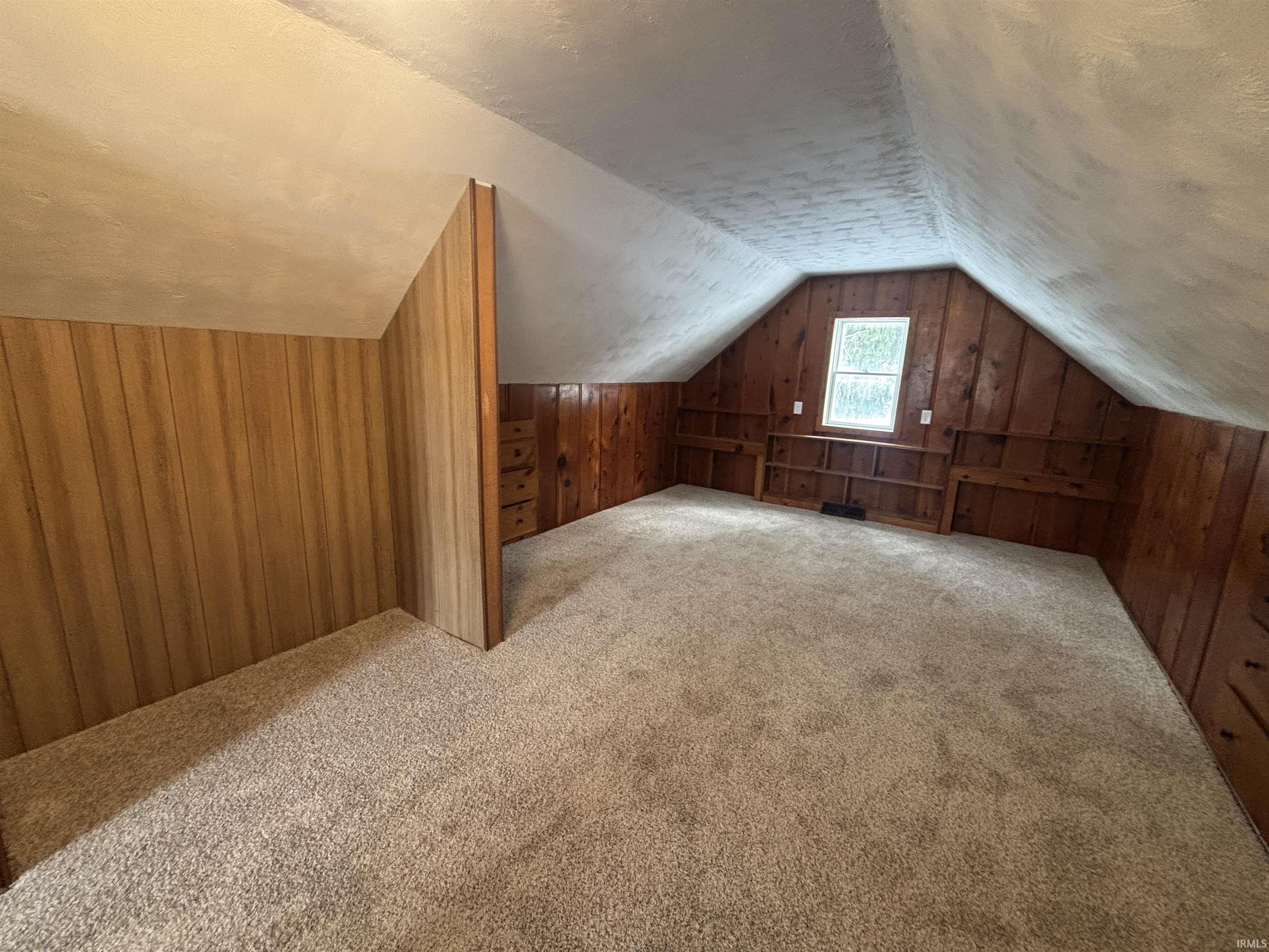 Additional living space featuring wooden walls, carpet, and a textured ceiling
