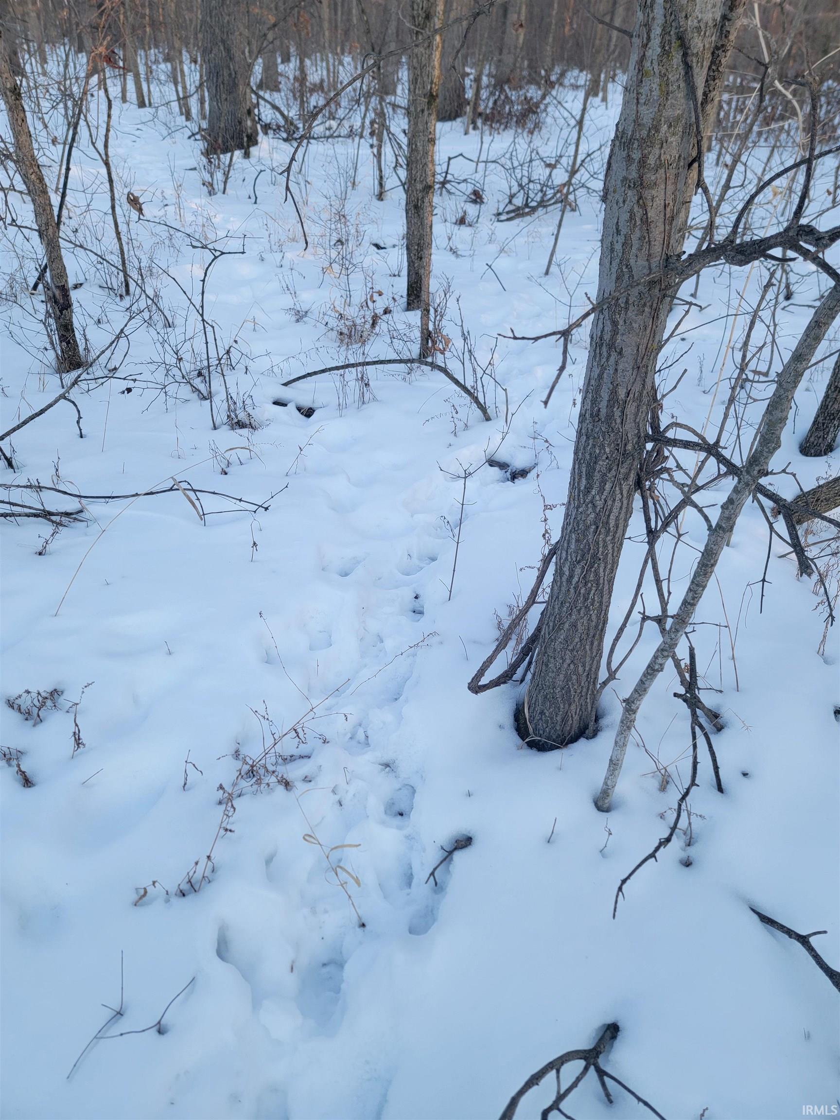 Homes for sale in Portland, IN | Tbd E 450 S, Portland, IN 47371 | MLS# 202604073