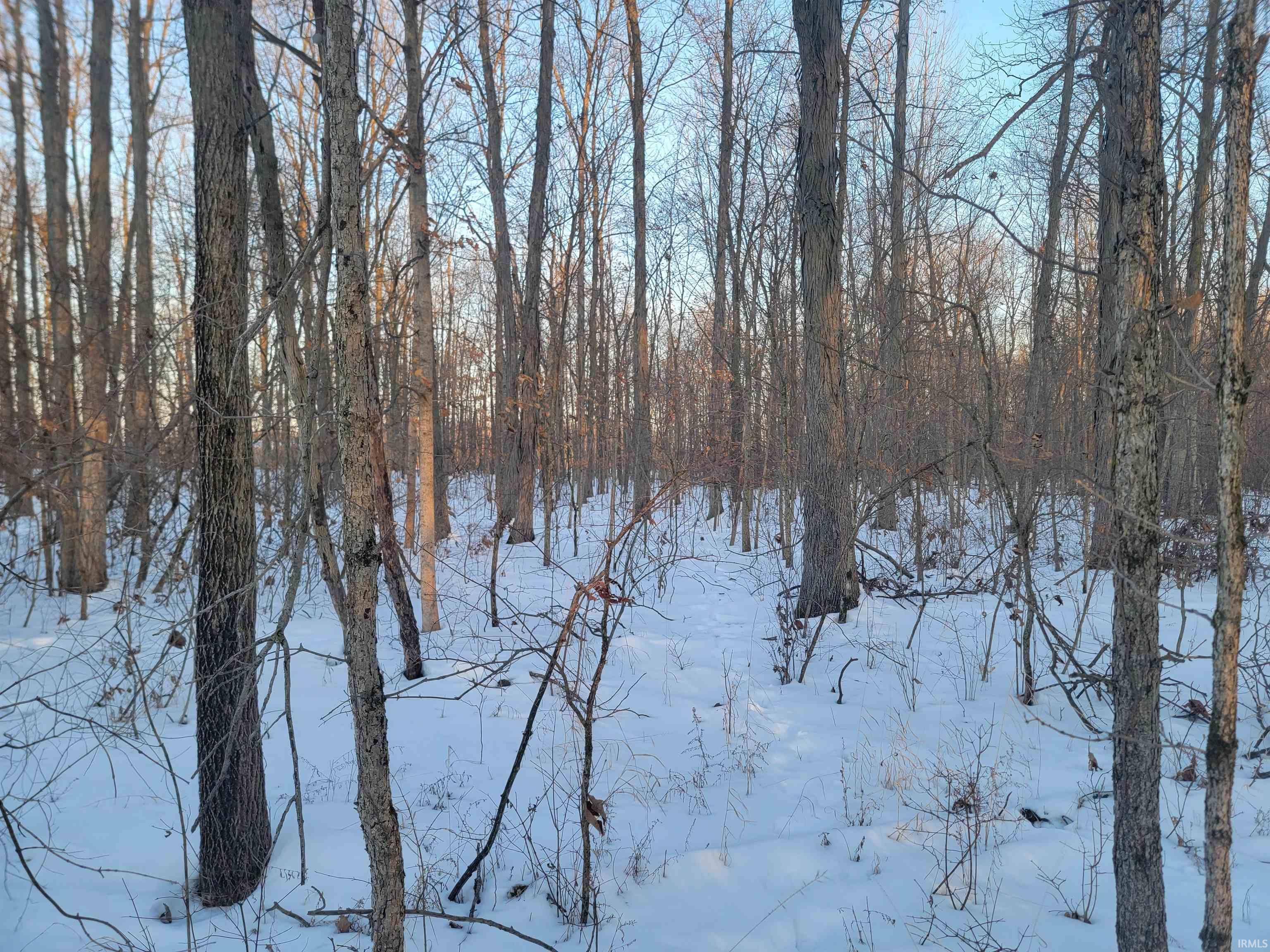 Homes for sale in Portland, IN | Tbd E 450 S, Portland, IN 47371 | MLS# 202604073