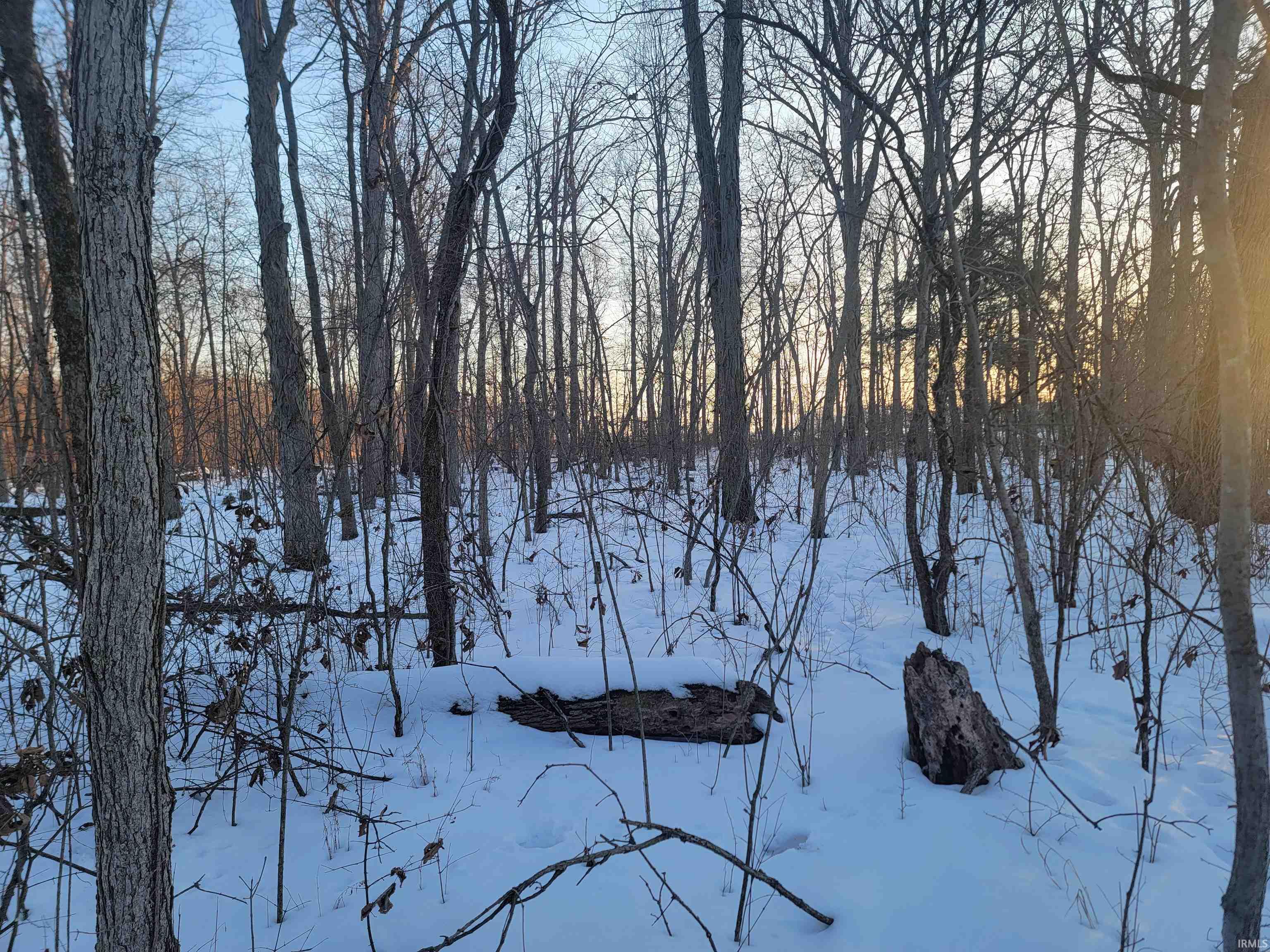 Homes for sale in Portland, IN | Tbd E 450 S, Portland, IN 47371 | MLS# 202604073