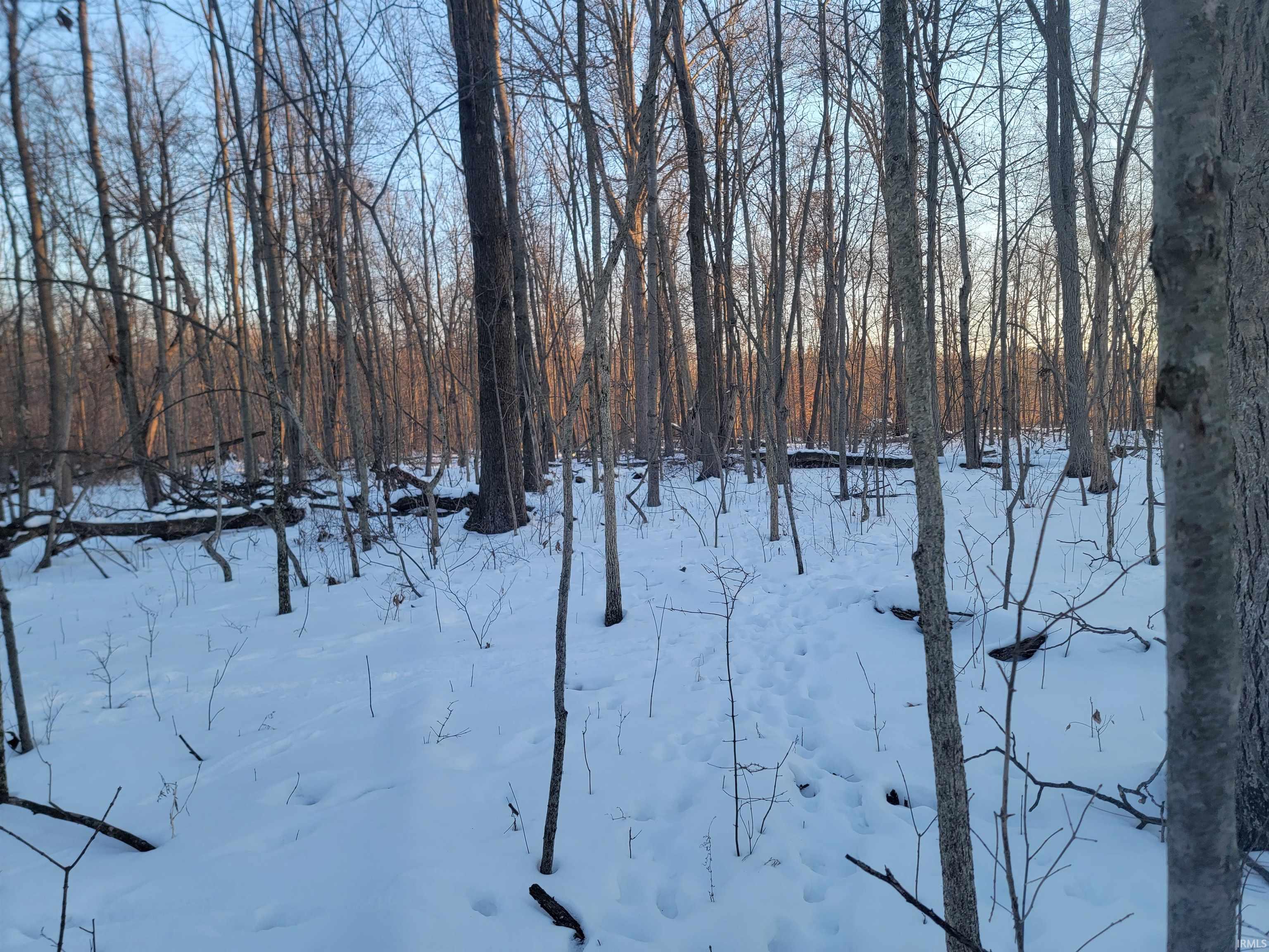 Homes for sale in Portland, IN | Tbd E 450 S, Portland, IN 47371 | MLS# 202604073