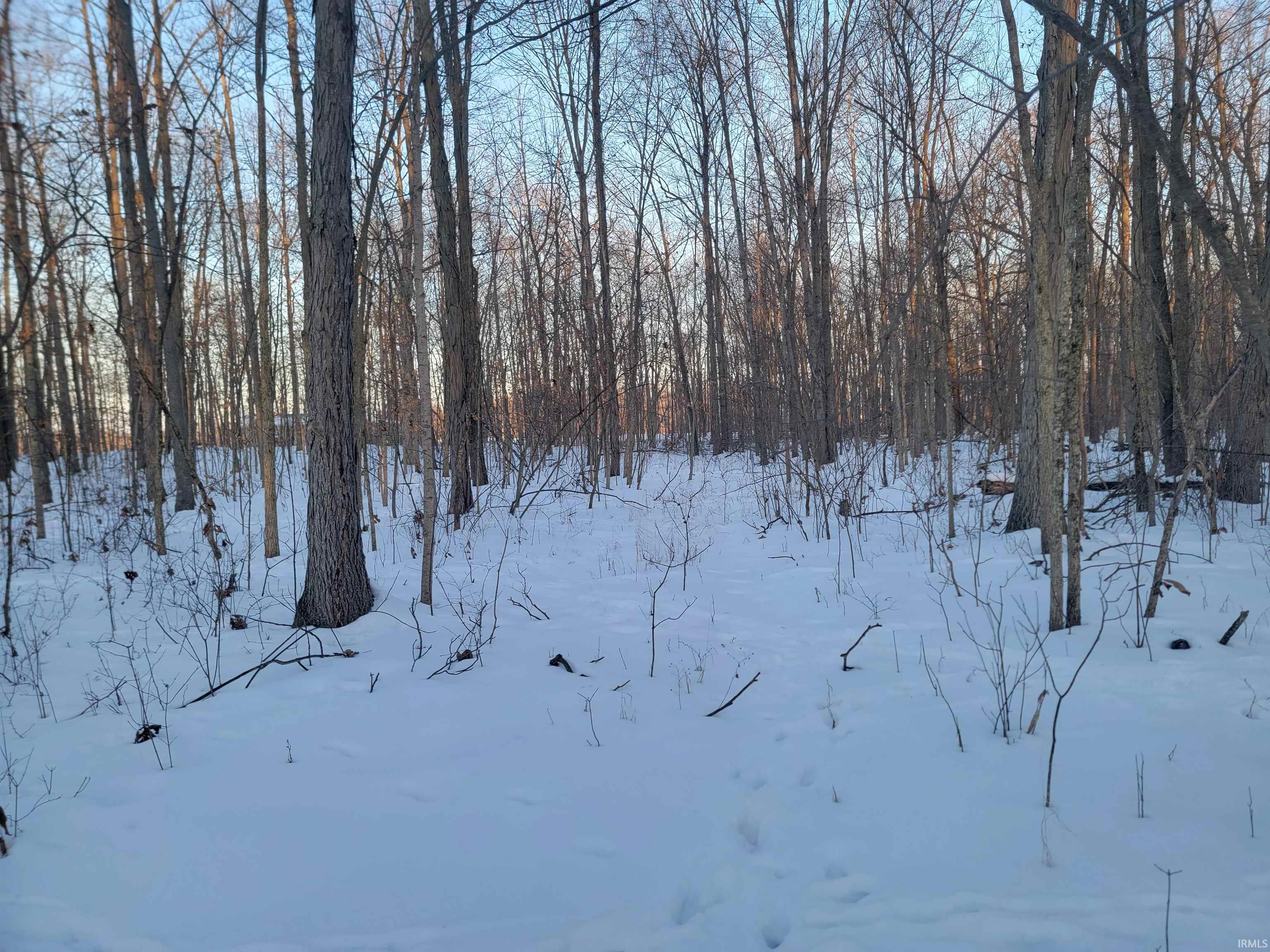 Homes for sale in Portland, IN | Tbd E 450 S, Portland, IN 47371 | MLS# 202604073