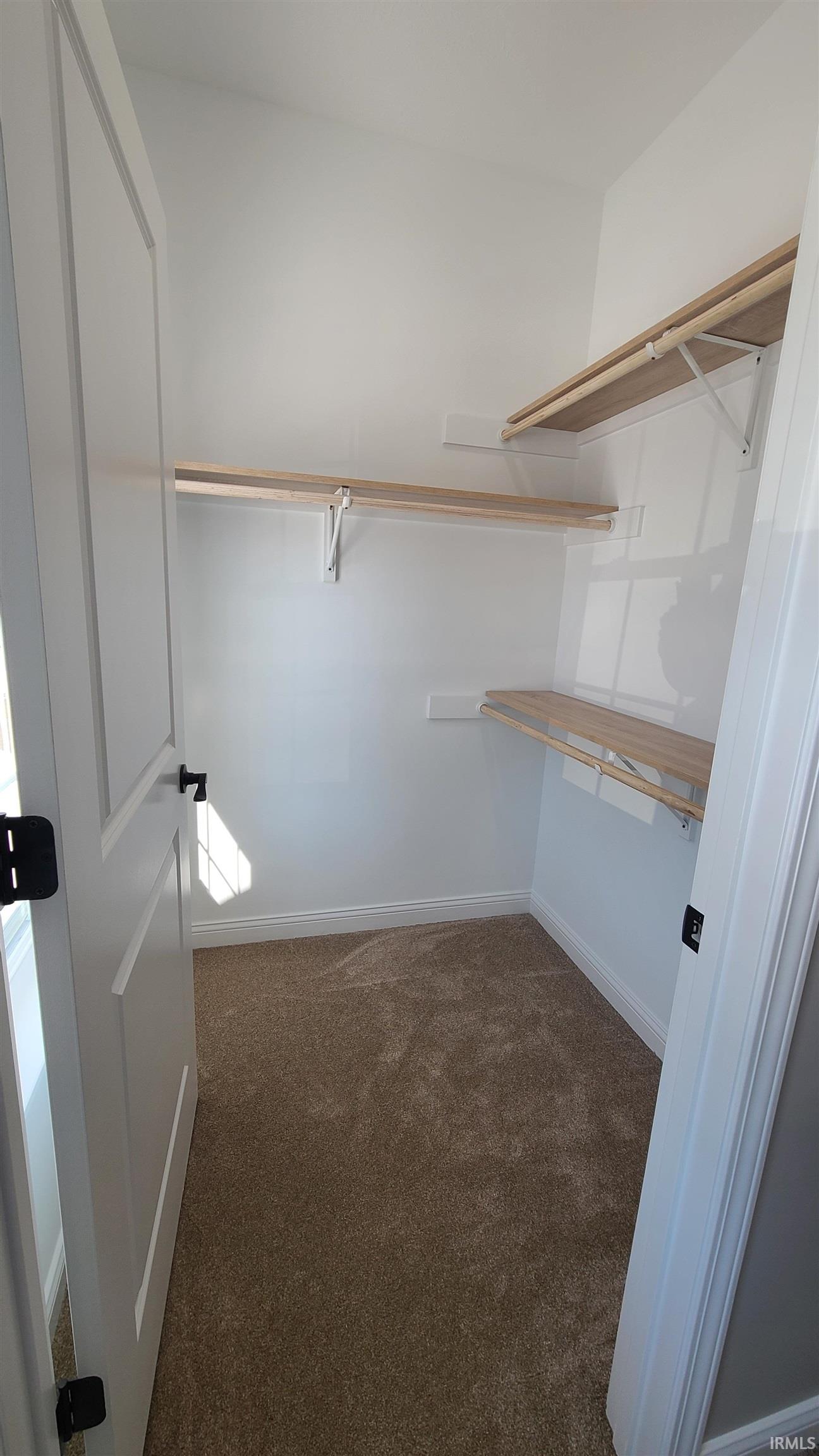 Walk in closet with dark colored carpet