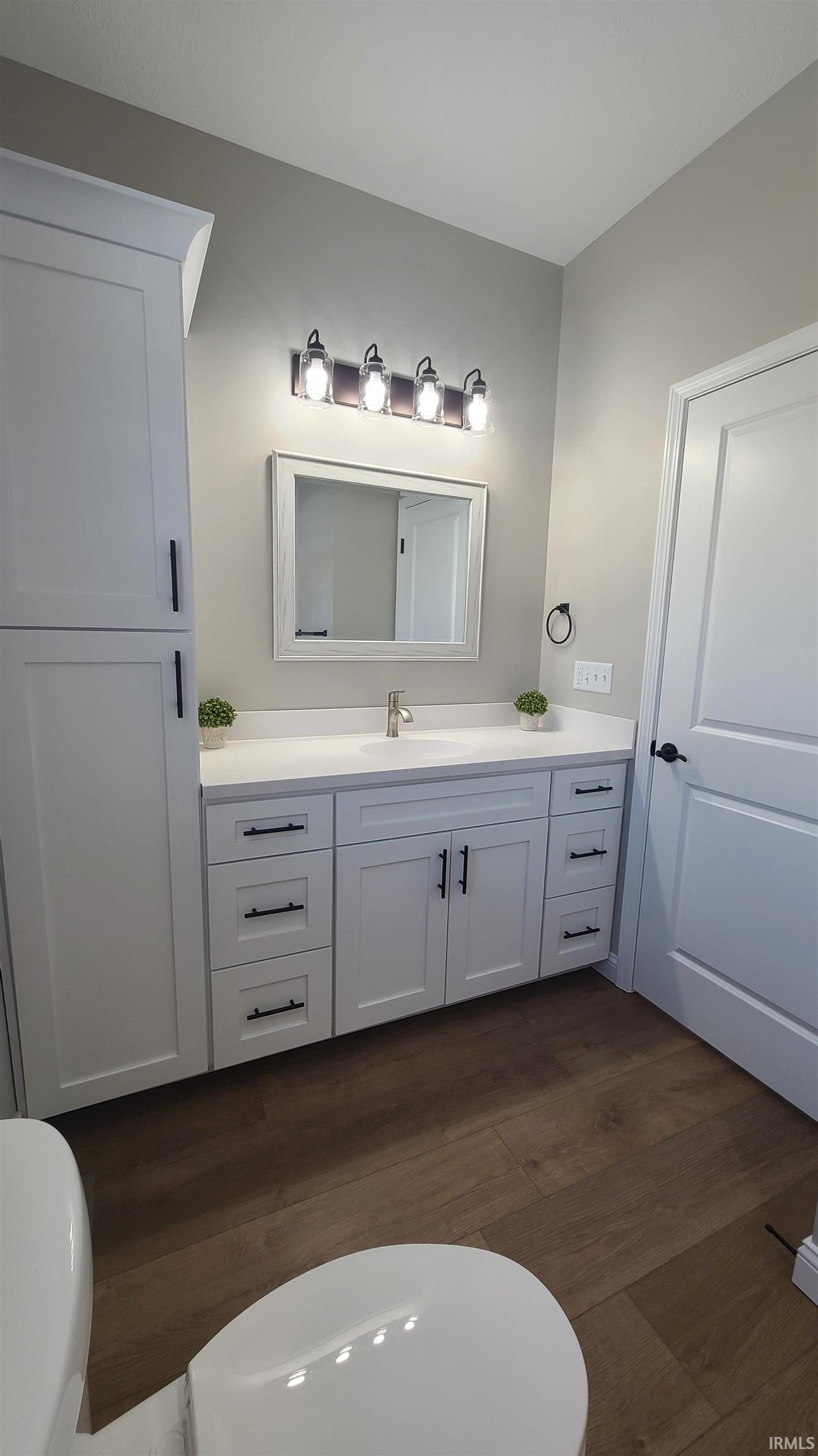 Bathroom featuring dark wood-style flooring and vanity