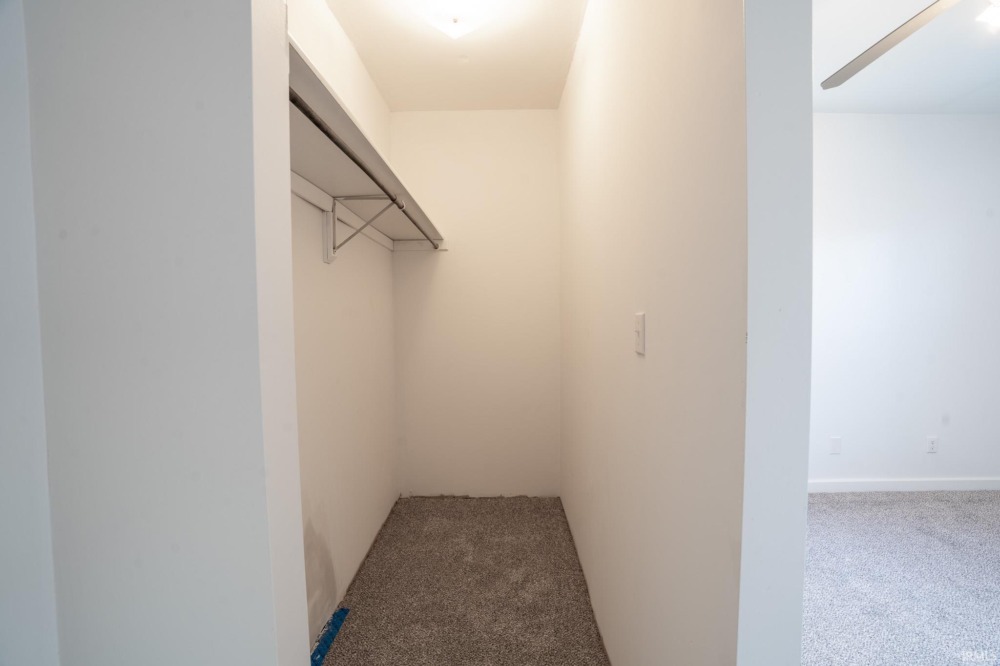 Walk in closet with carpet flooring and a ceiling fan