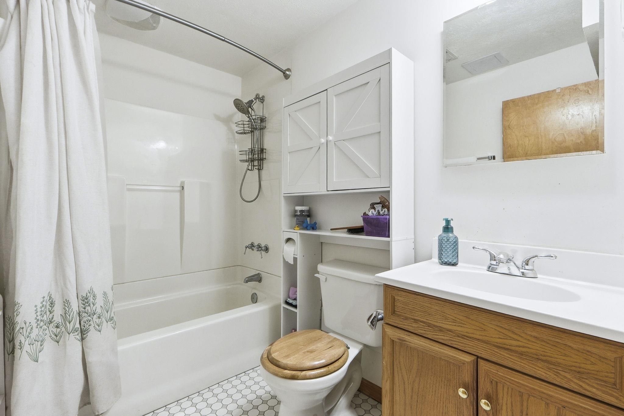 Lower Level Bathroom