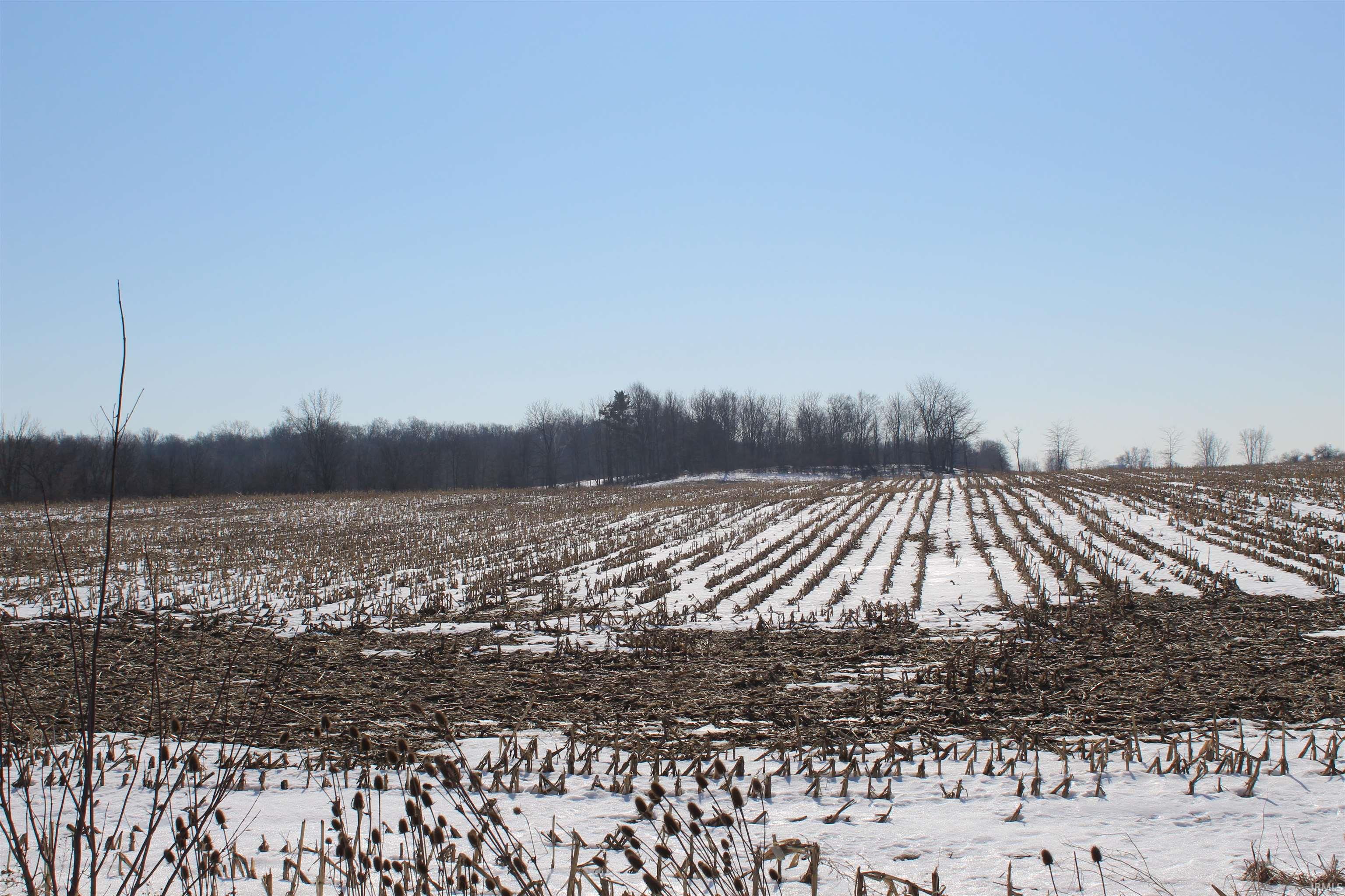 Snowy yard featuring a rural view