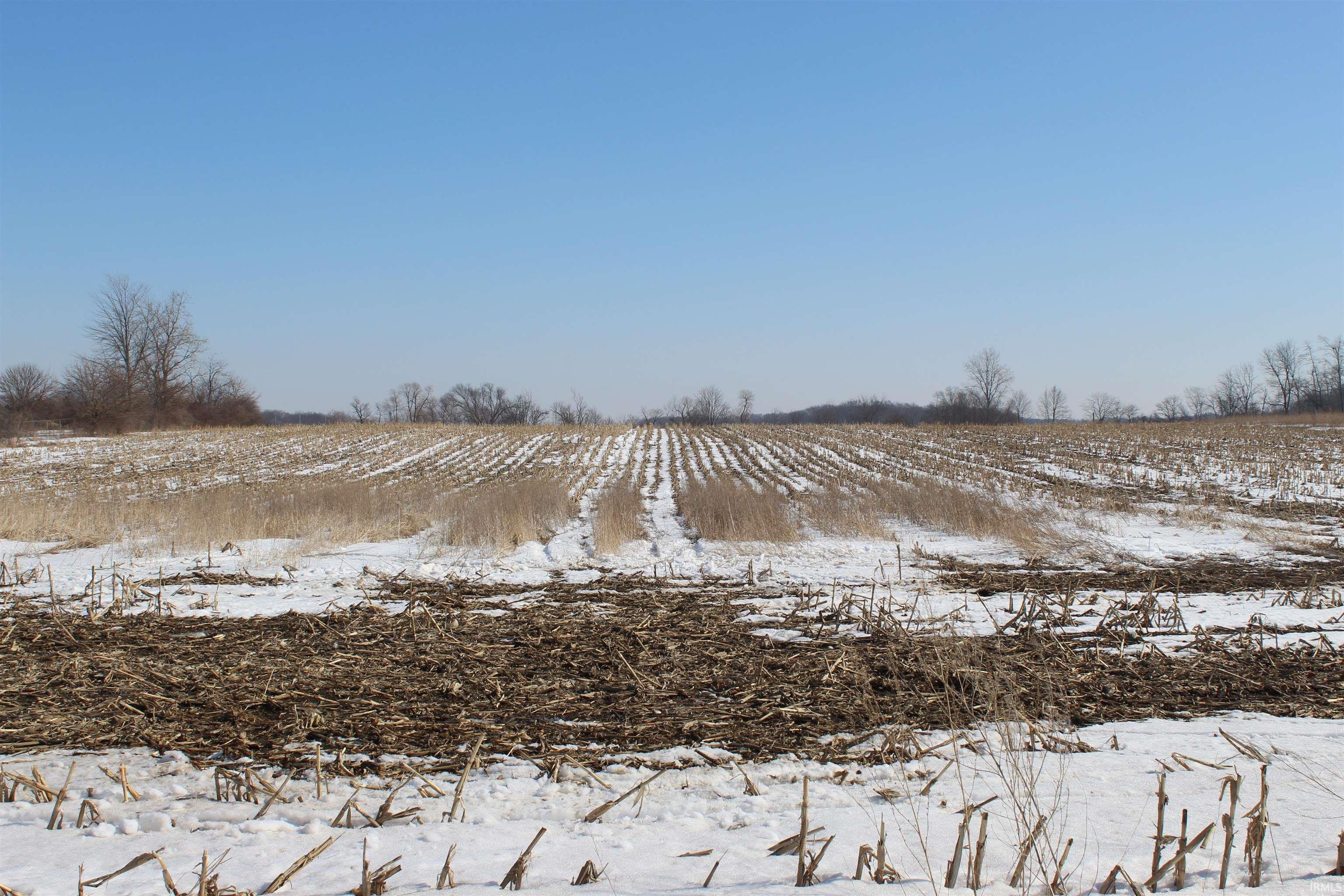 View of yard featuring a view of countryside and agricultural plots