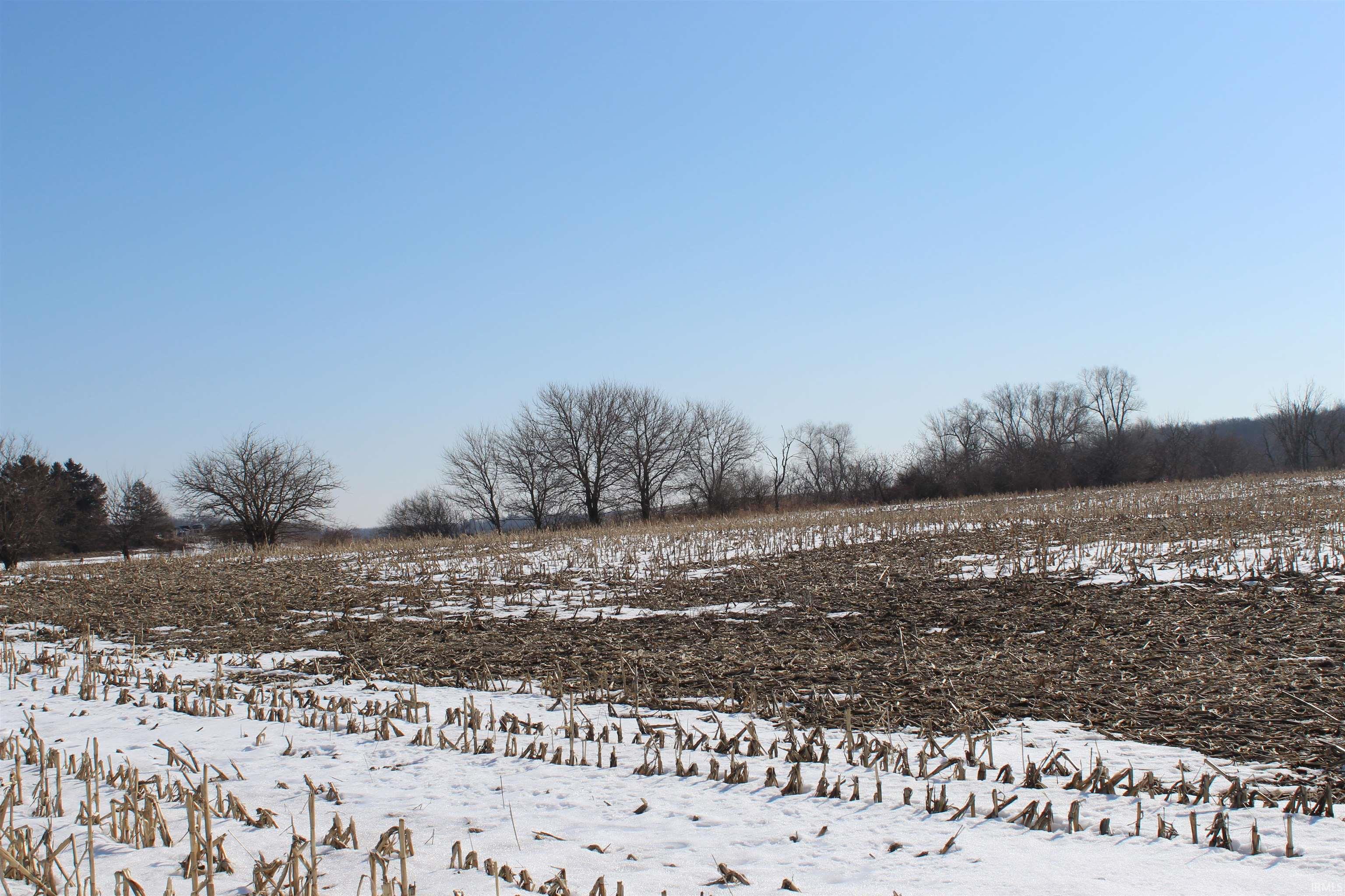 View of yard with a view of rural / pastoral area