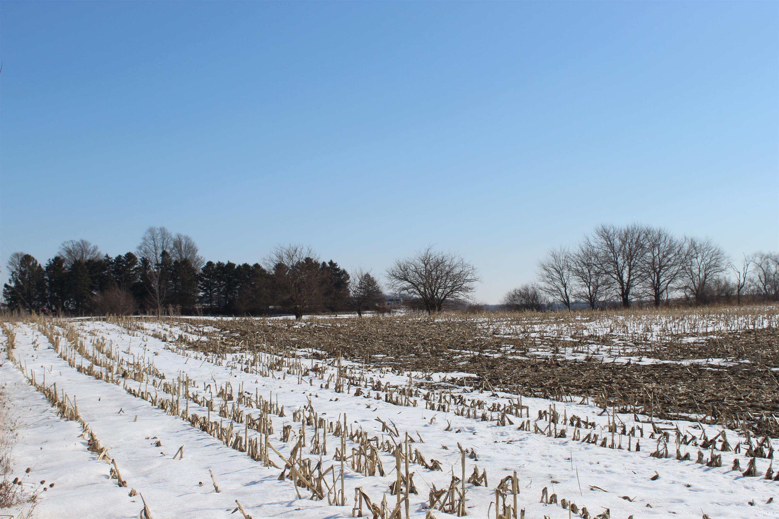 View of yard with a view of rural / pastoral area