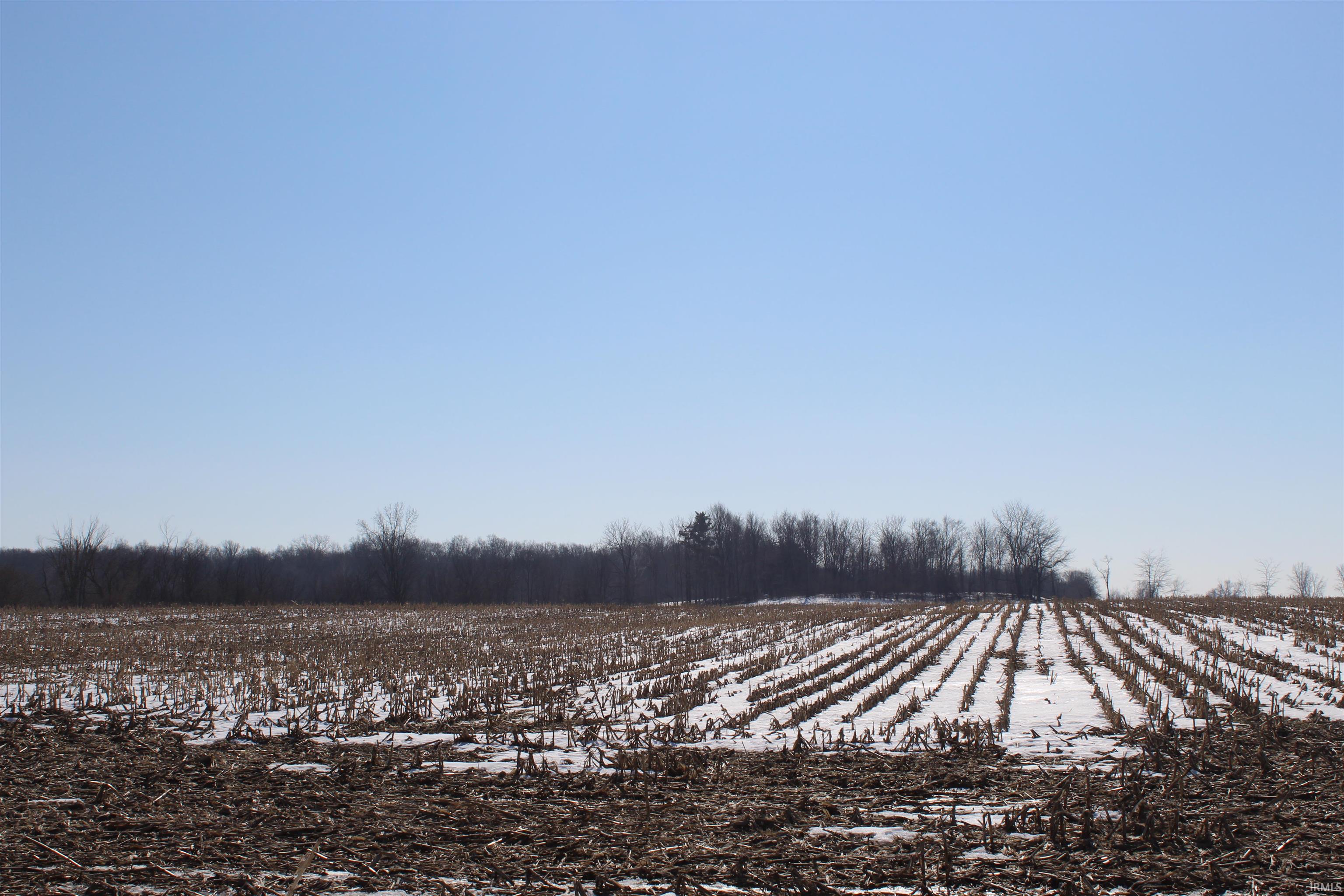 View of yard with a view of rural / pastoral area and agricultural area