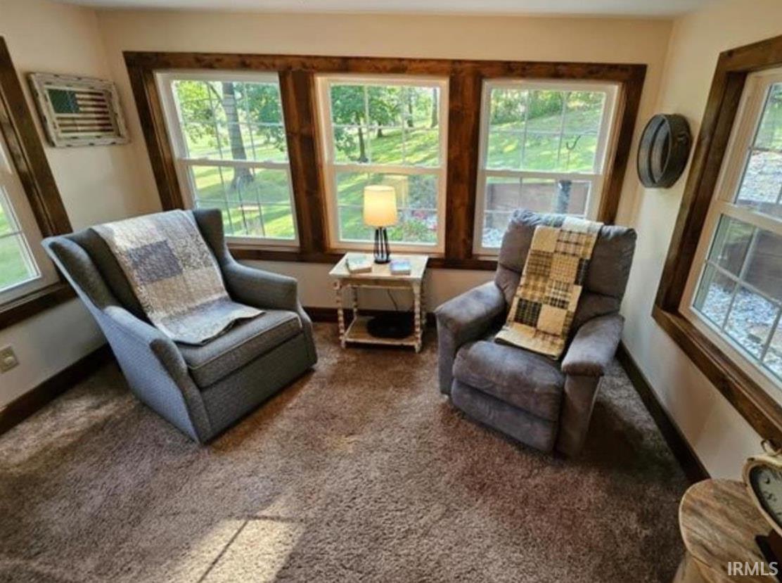 Sitting room with carpet flooring and plenty of natural light