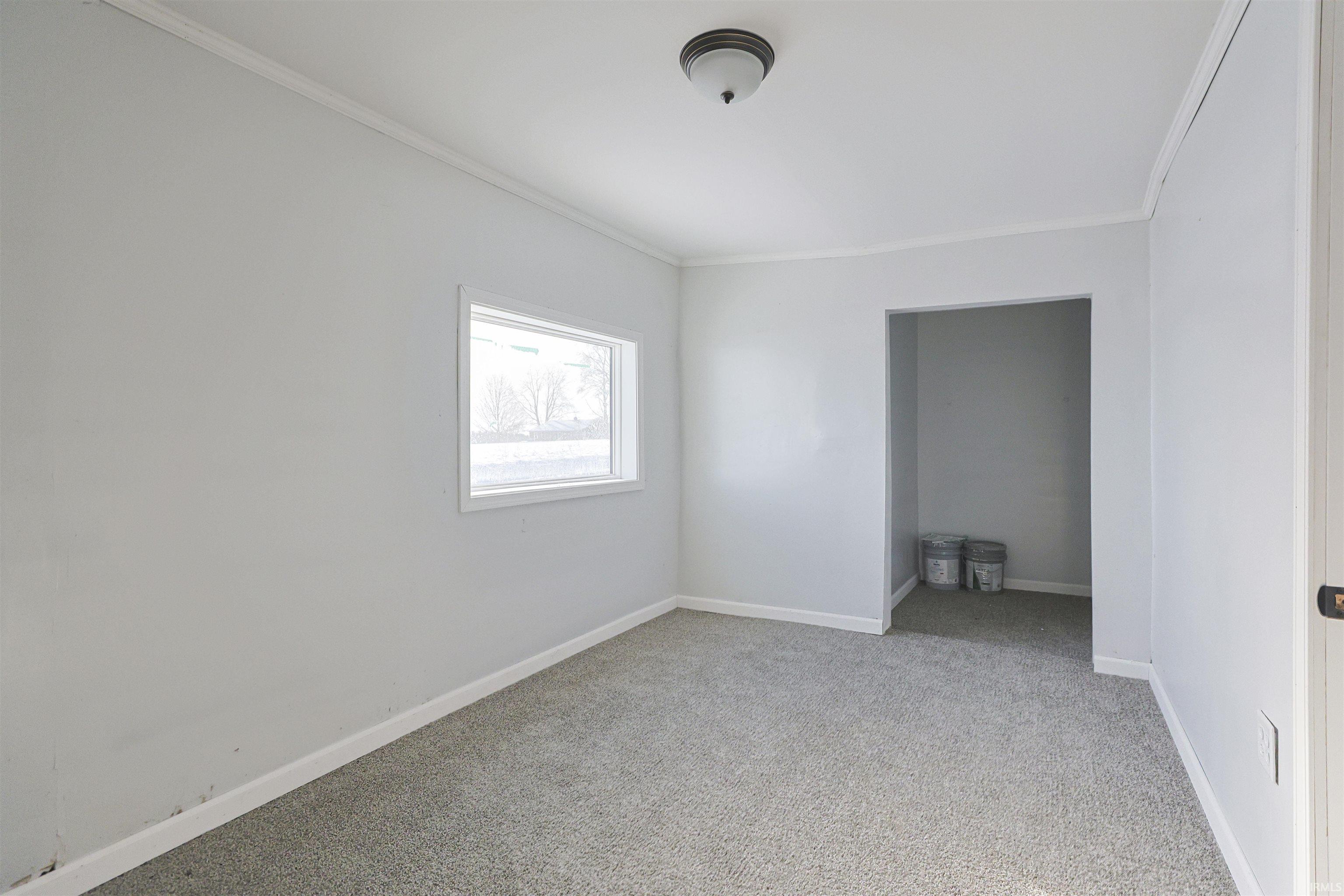 Spare room featuring crown molding and carpet
