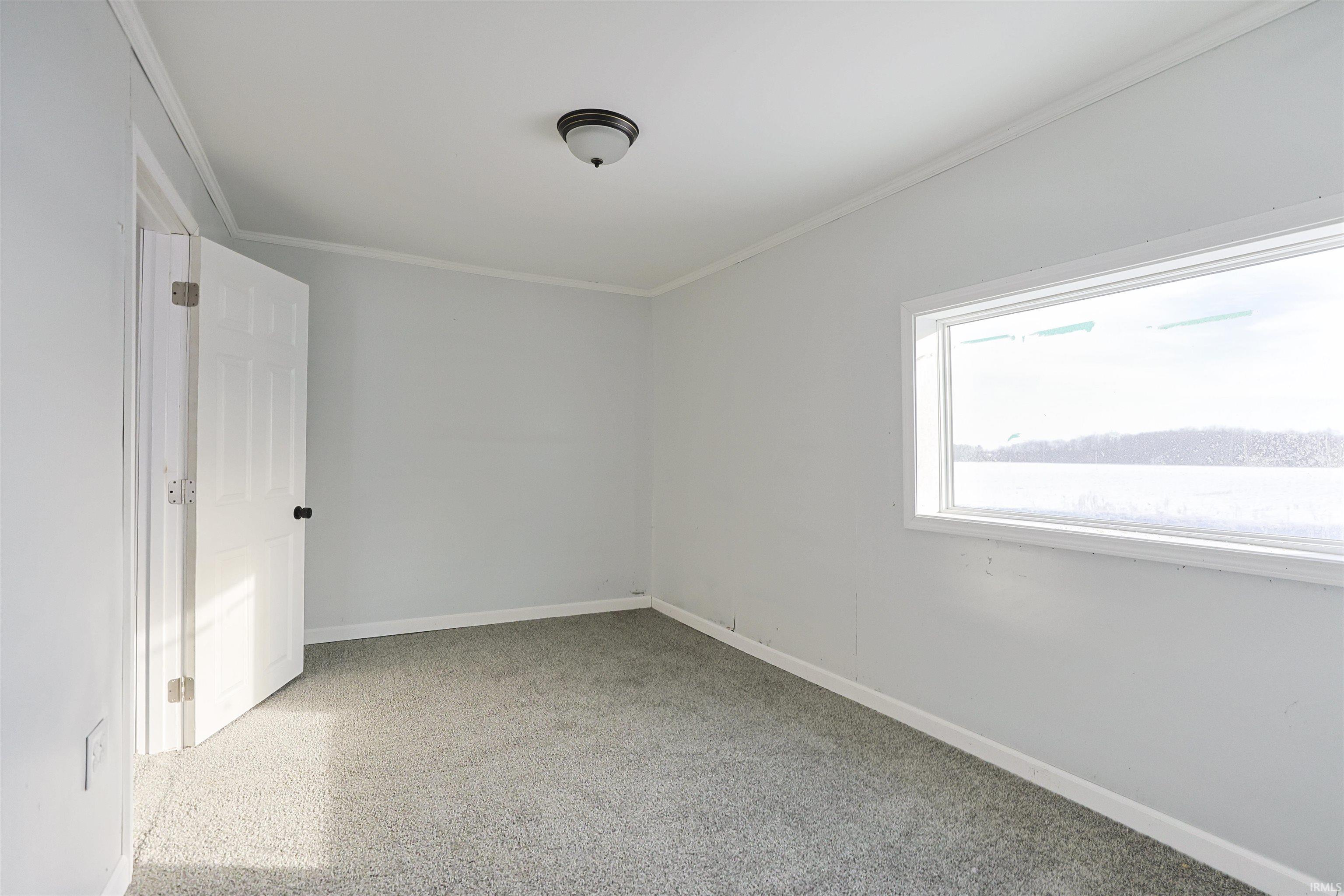 Spare room with ornamental molding and light carpet