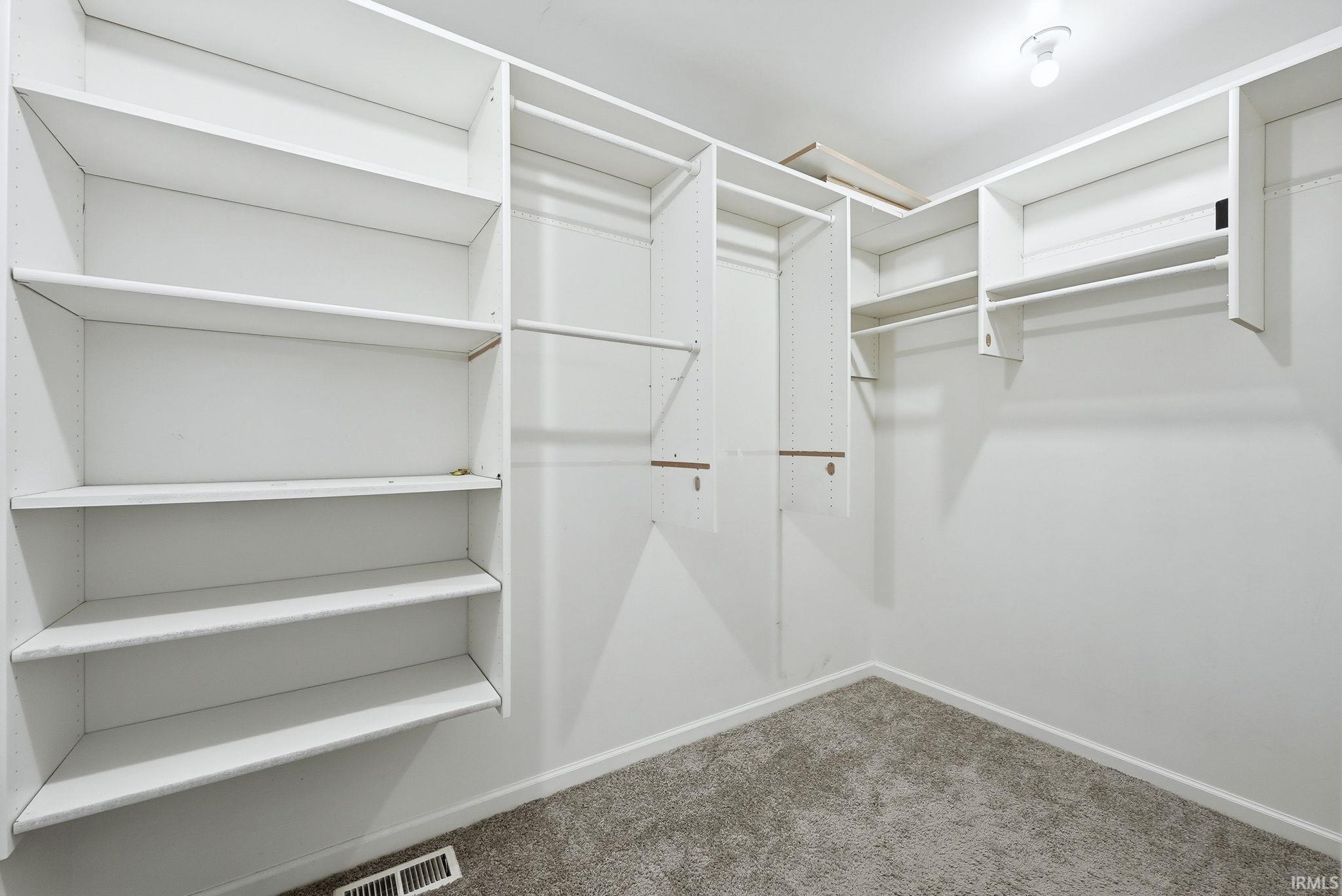 Walk in closet with carpet