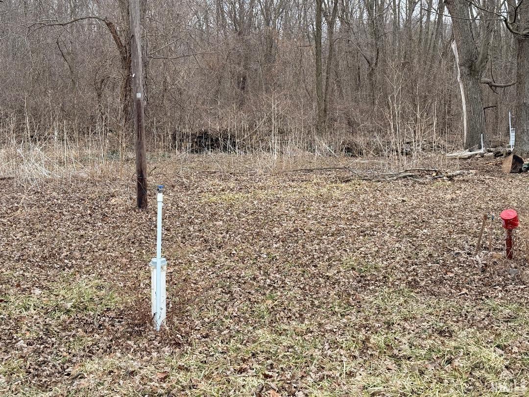 View of local wilderness