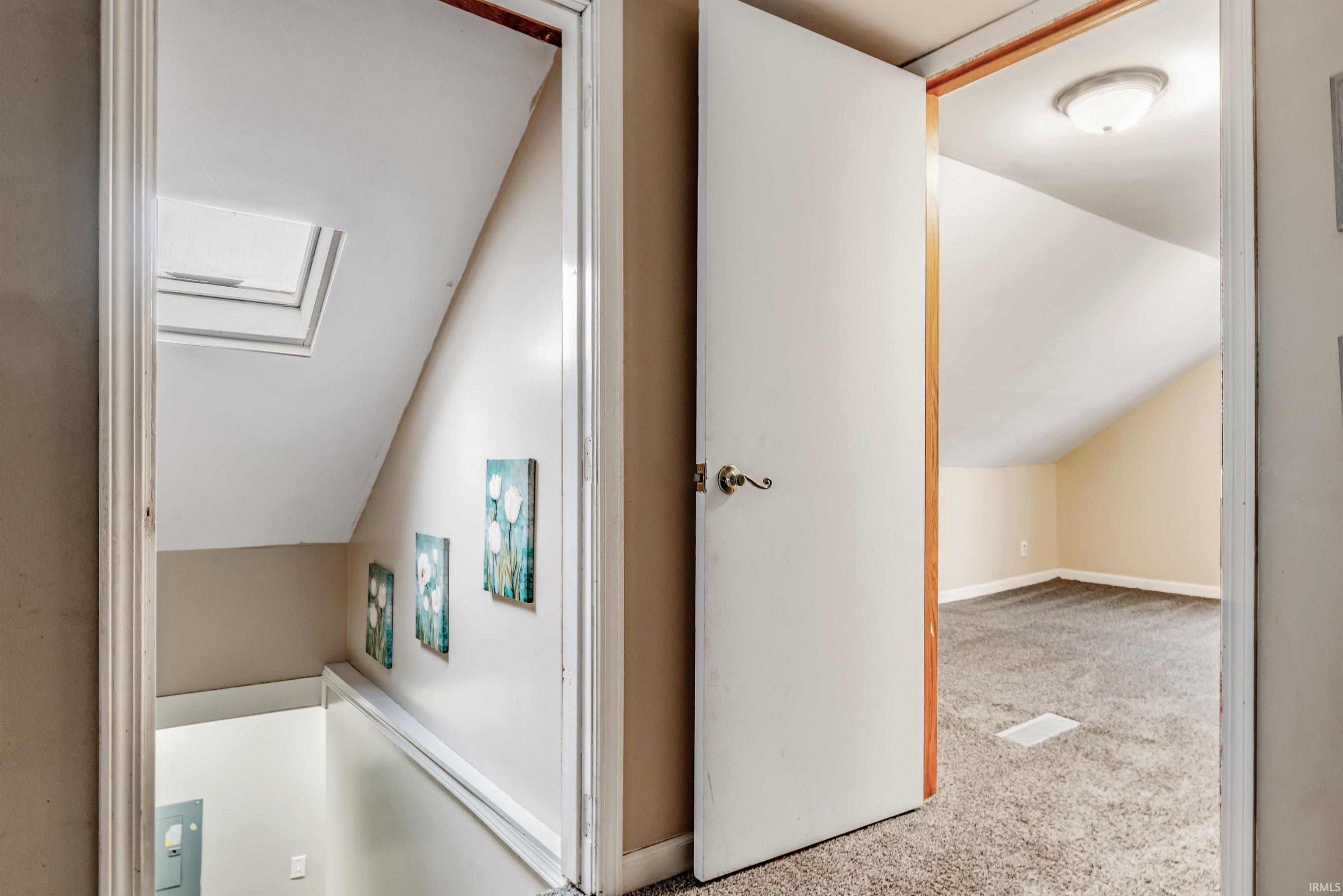 Bathroom featuring carpet flooring, lofted ceiling, and a skylight