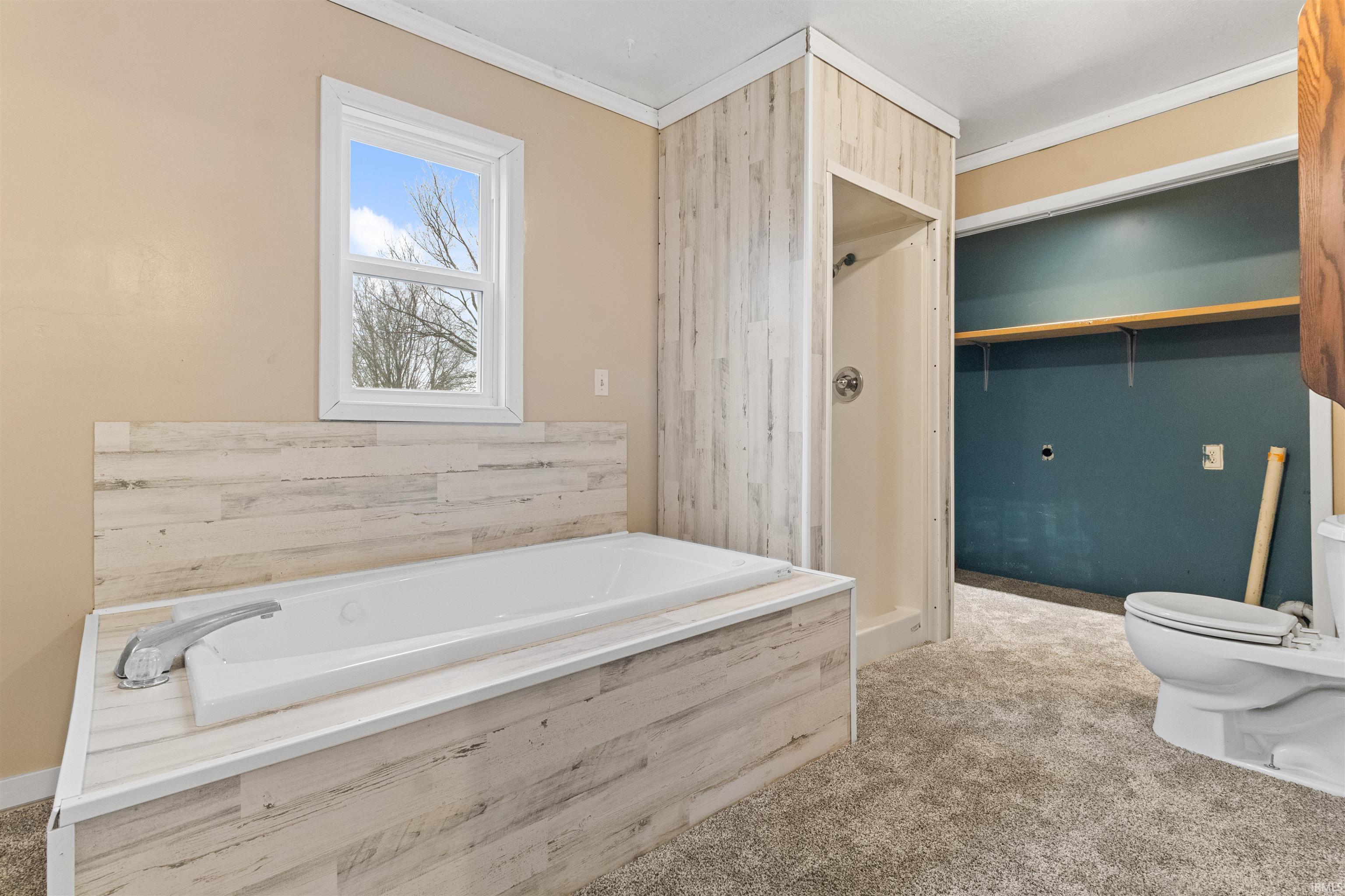 Bathroom featuring ornamental molding, a stall shower, a bath, and carpet flooring
