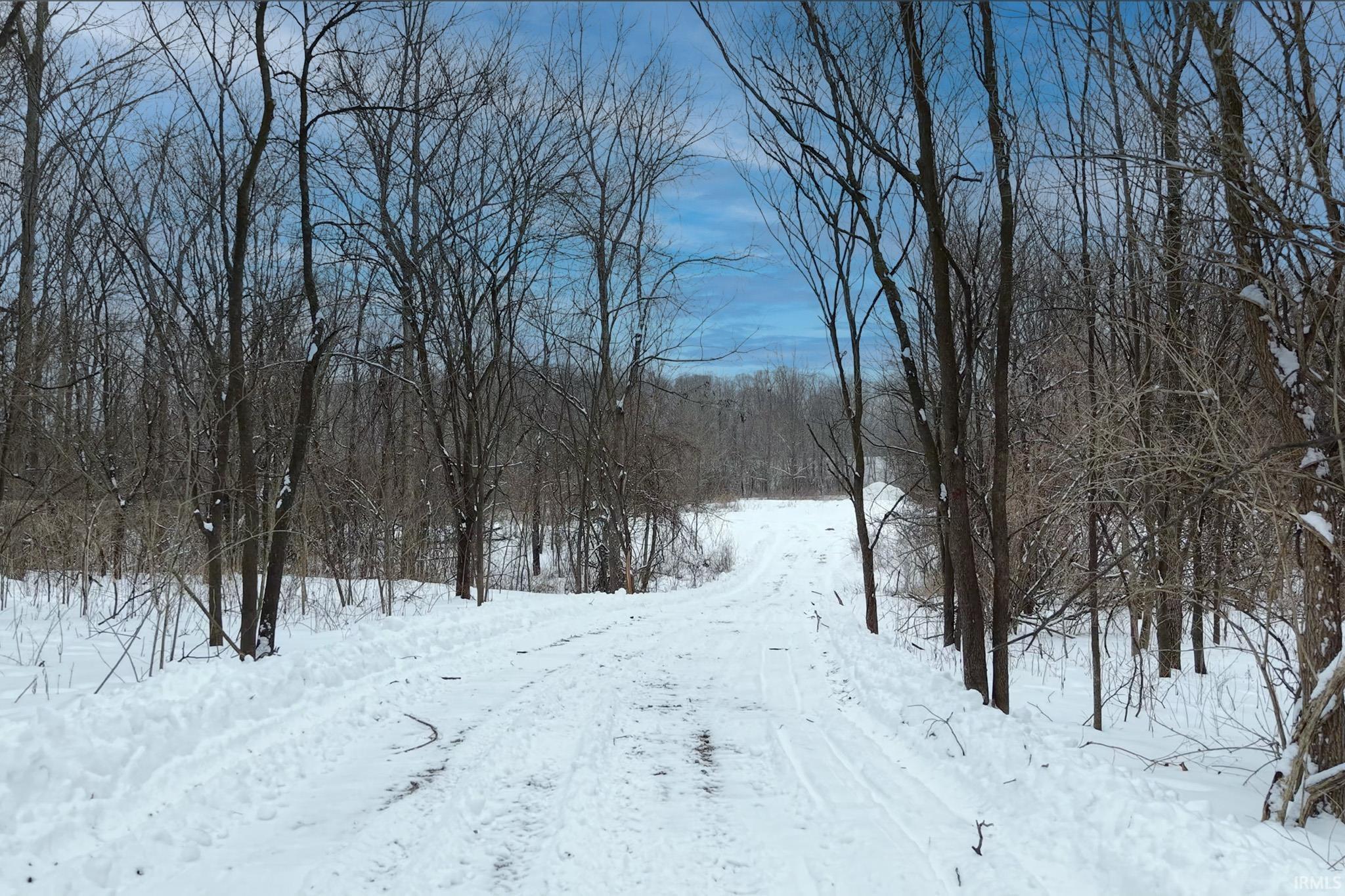View of road with a forest view