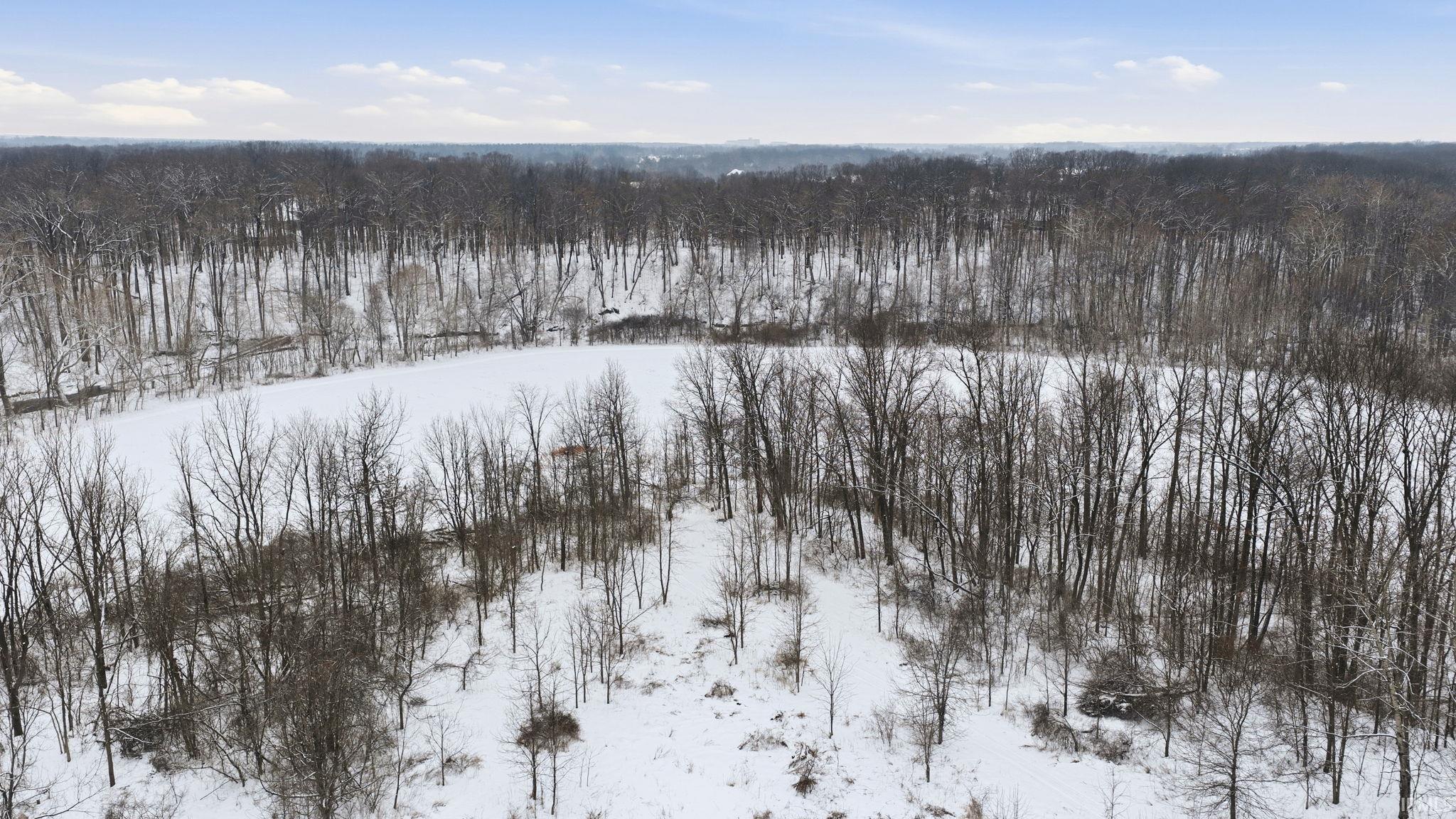 Snowy aerial view with a forest view