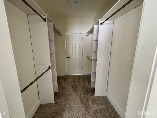 Walk in closet featuring dark colored carpet, door entry from utility and principal bedroom