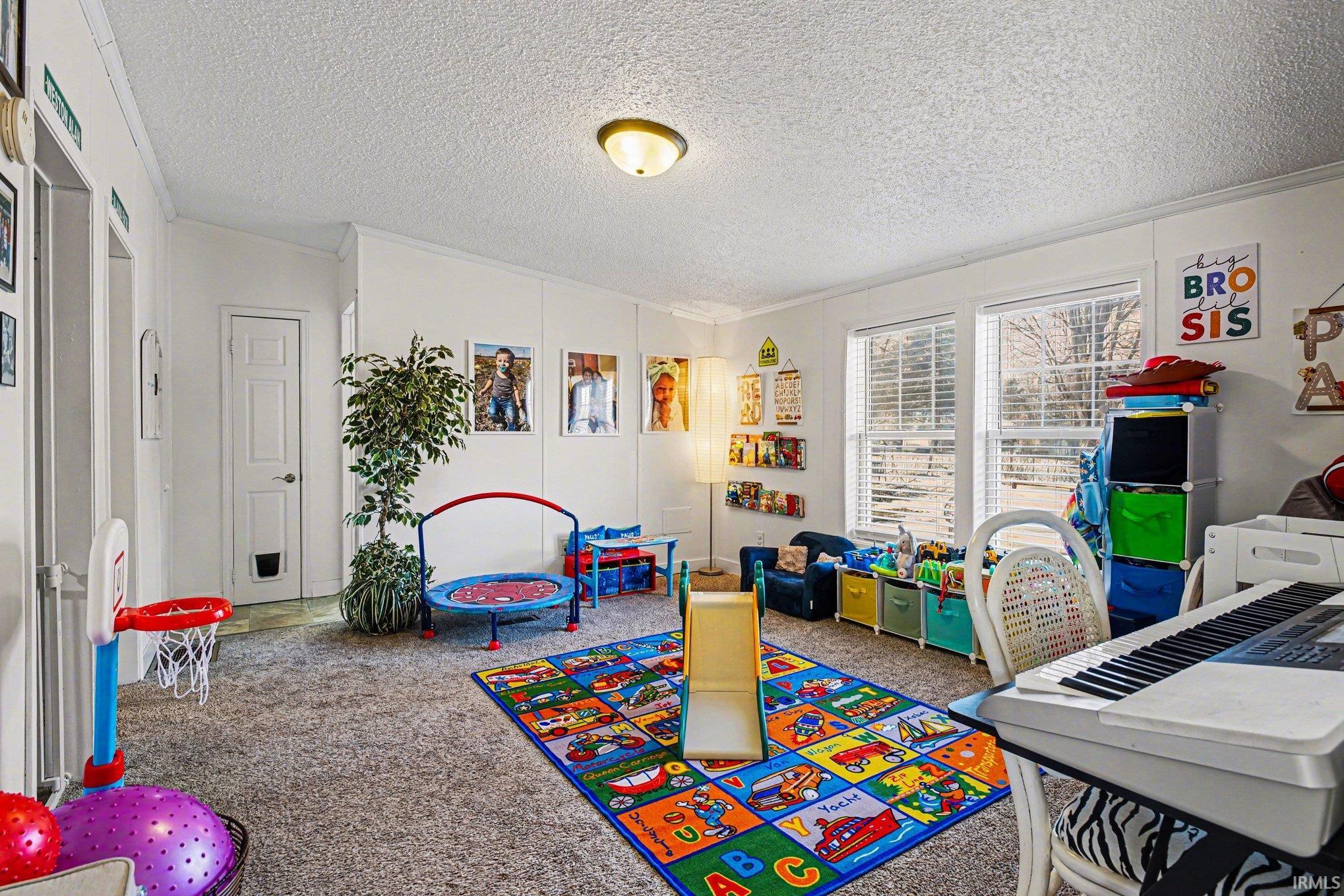 Game room featuring a textured ceiling and carpet floors