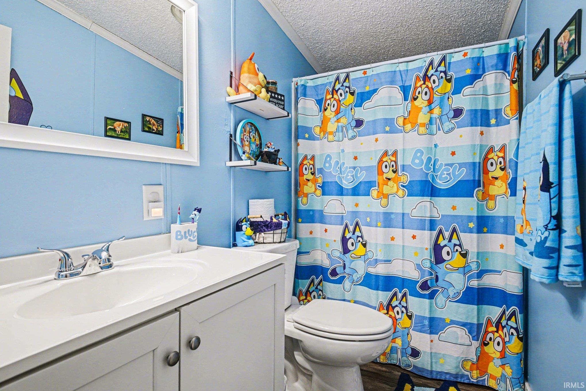 Bathroom featuring vanity, a textured ceiling, and a shower with shower curtain